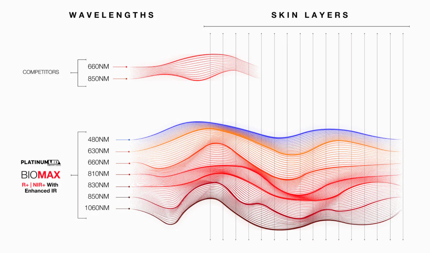 Diagram of red light and near infrared wavelengths from 480nm to 1060nm and how deep each penetrates the skin layers, Sweatland Austin