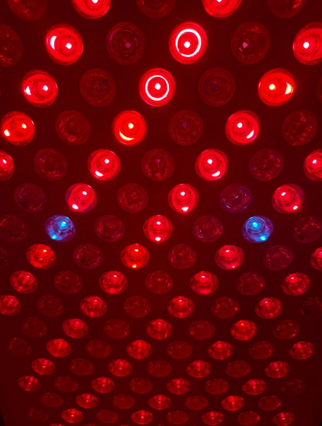 Close up of the medical grade red and blue LED panel at Sweatland Austin