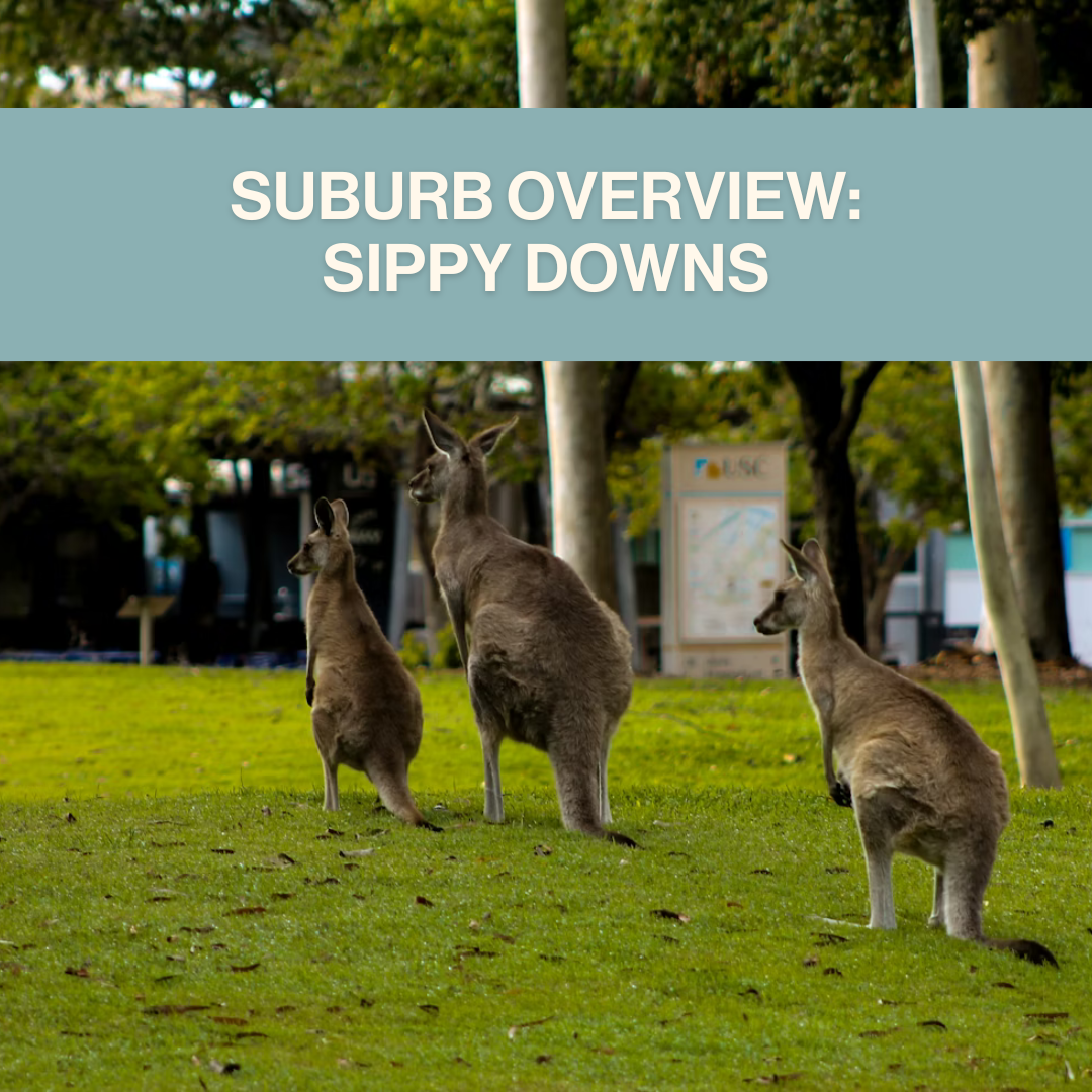 Buying Property in Sippy Downs: What Buyers Need to Know Right Now