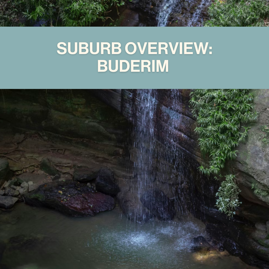 Buying Property in Buderim: What Buyers Need to Know Right Now