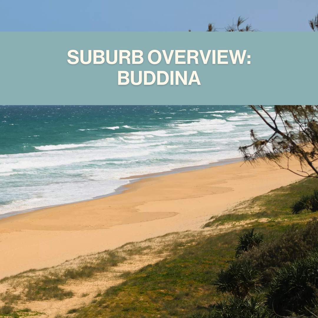 Buying Property in Buddina: What Buyers Need to Know Right Now