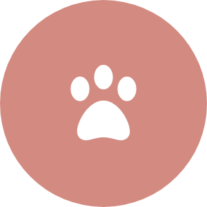 Pet gates icon