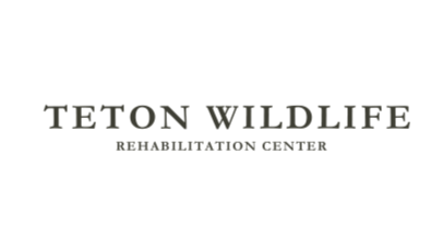 Teton Wildlife Rehabilitation Center