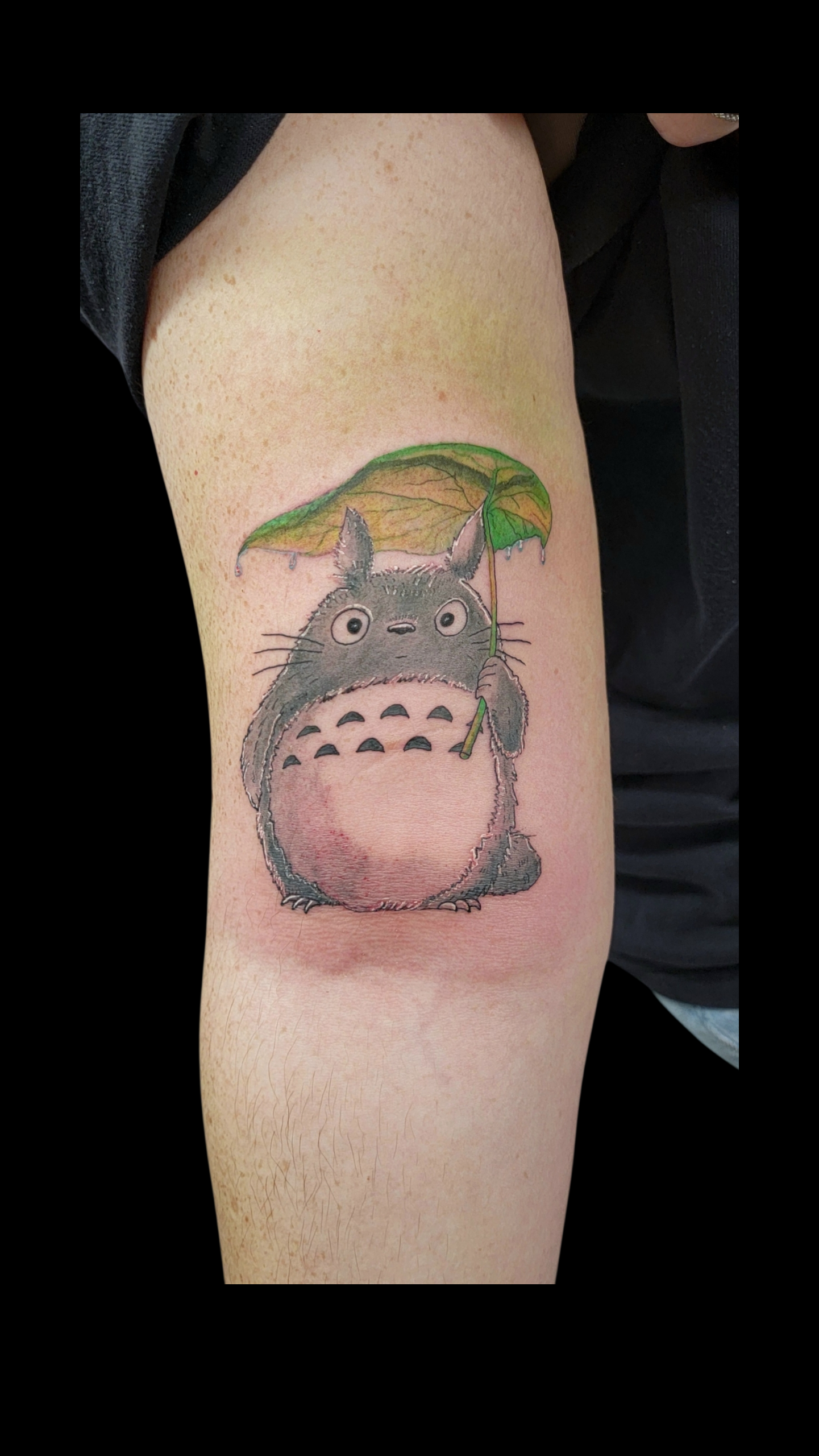 20251228_185250 (1).png