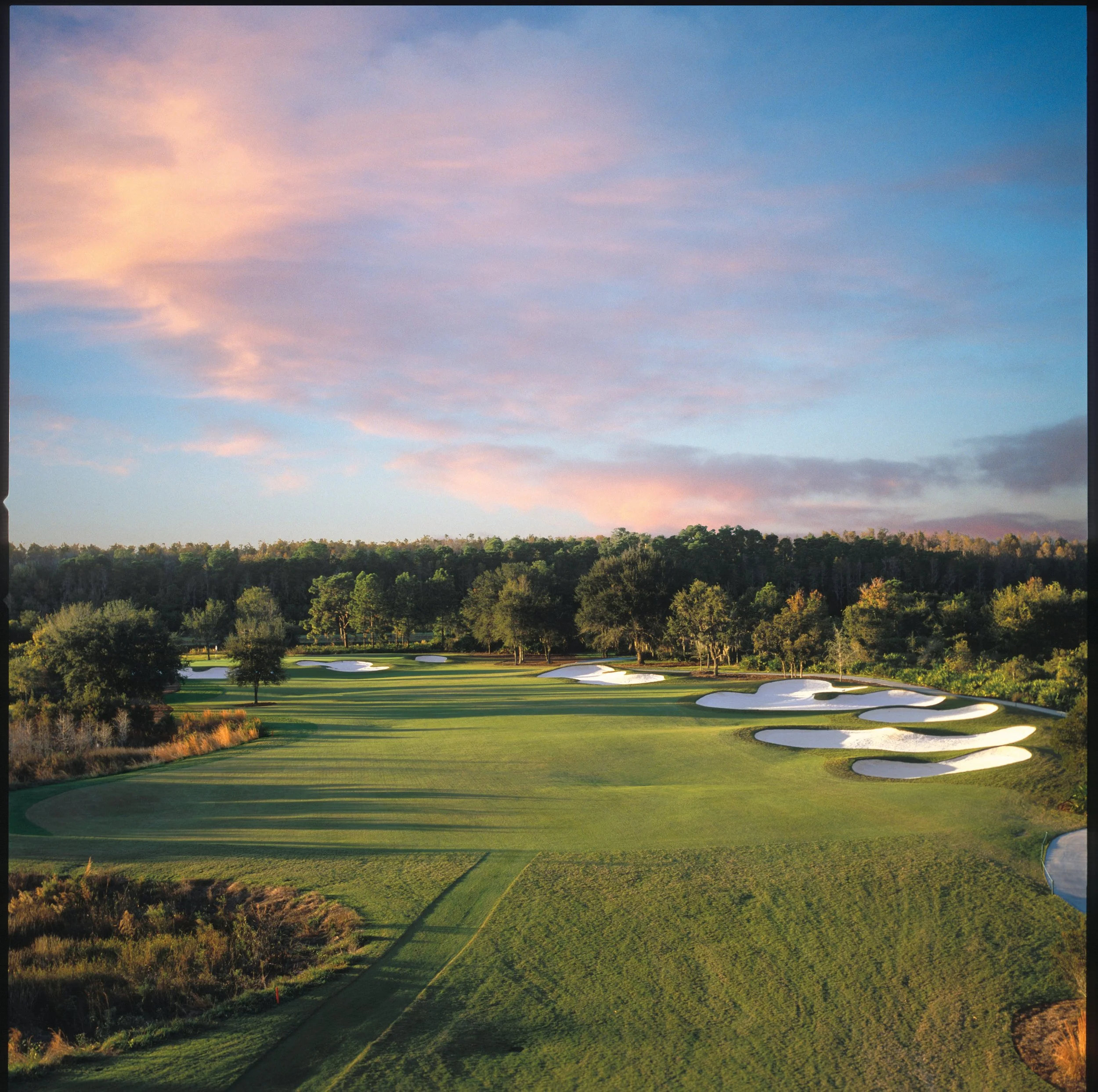 Fun For Families — Or Just Adults