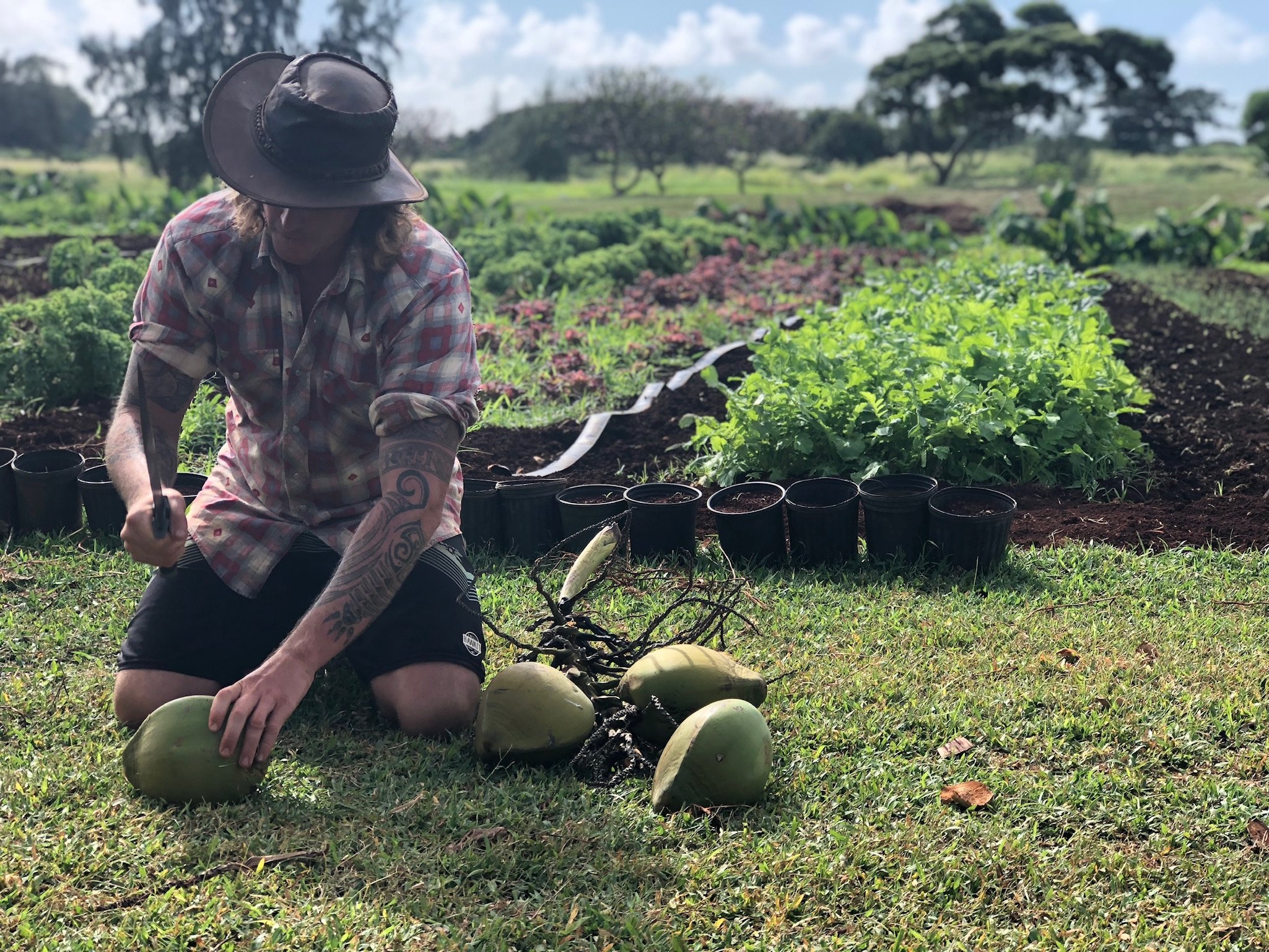  Adventures abound at Timbers Kaua‘i. Choose from a day at the beach—boards, chairs, refreshments and umbrella provided—a bike ride on one (or all) of the property’s trails, or a visit to The Farm at Hōkūala, where you can harvest produce for a pri