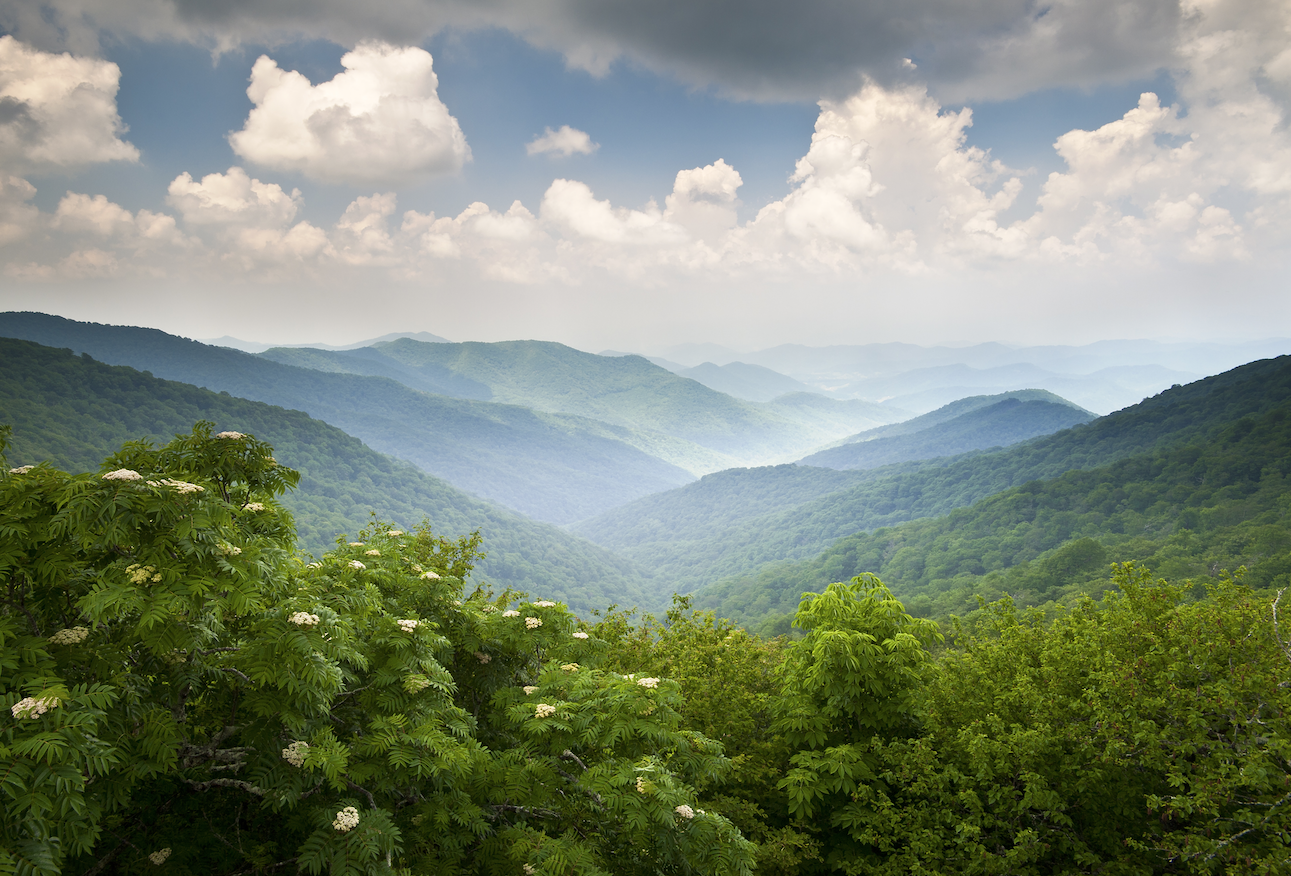  From verdant views from the Blue Ridge Parkway to the Biltmore’s grand house and vibrant botanical gardens, there’s something to delight everyone in Asheville, N.C.  (Photo courtesy exploreasheville.com by Dave Allen)   