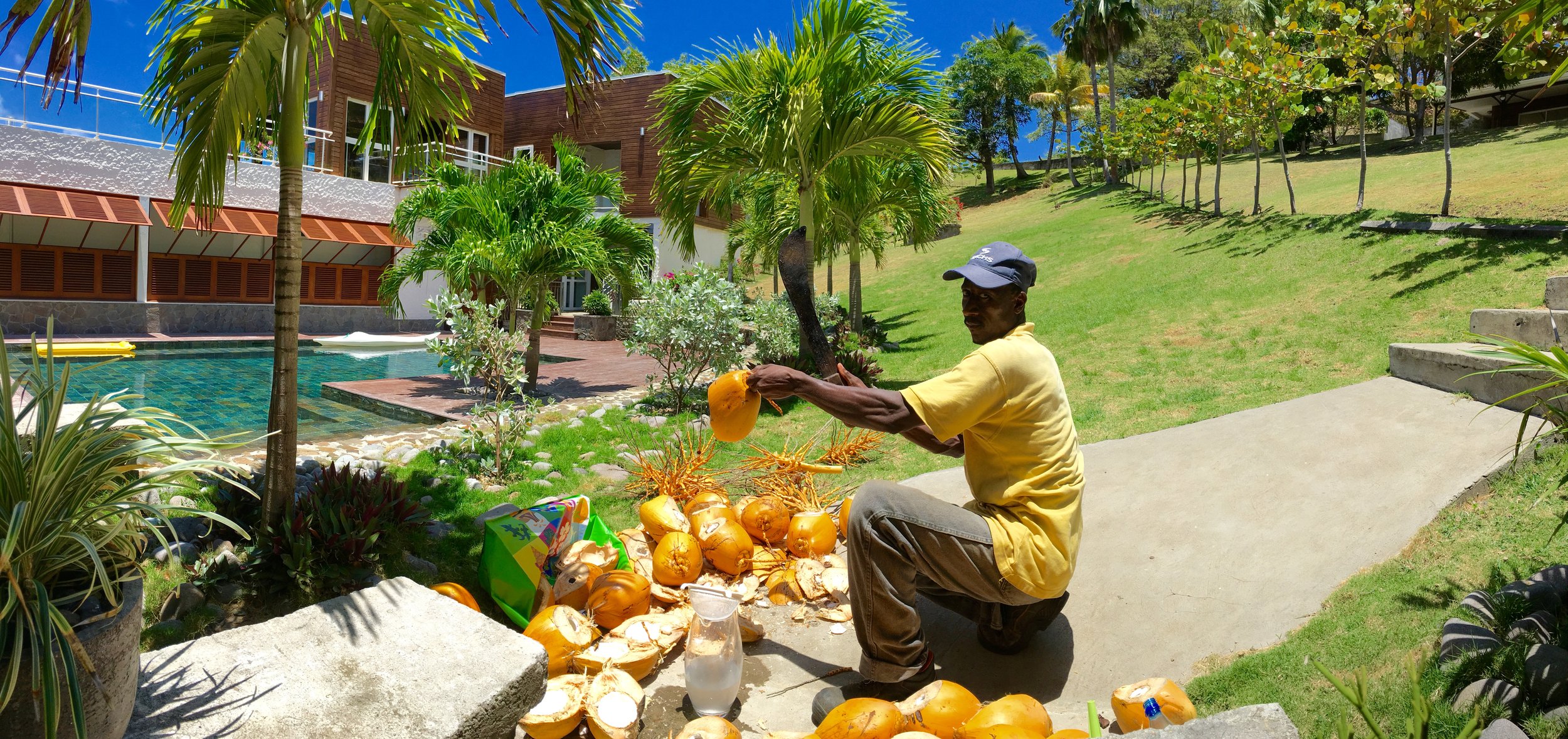  Caribbean coconuts are omnipresent: You’ll find them on plates, in drinks and for sale along the highway ( photo courtesy Le Domaine des Fonds Blancs ).  