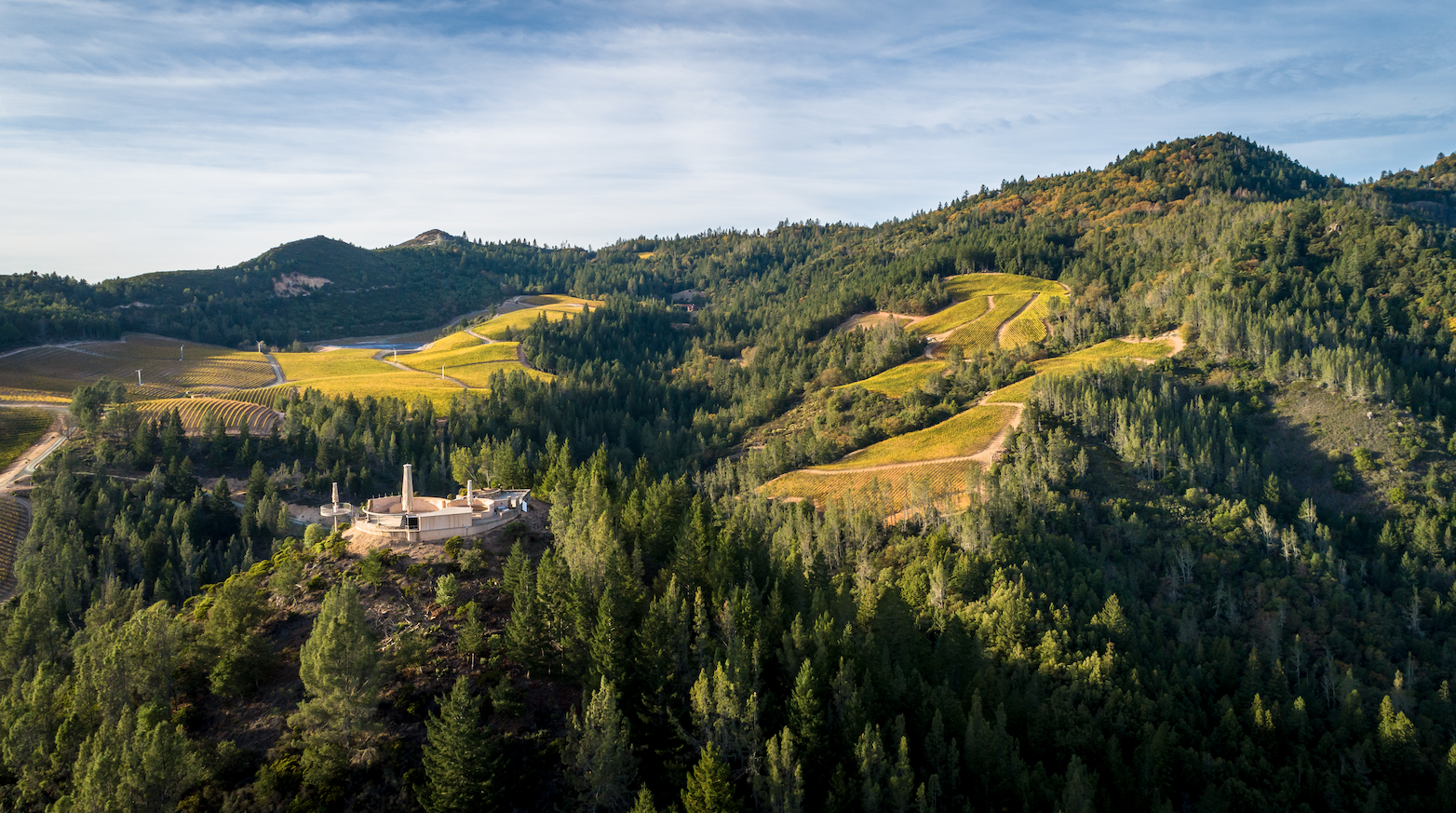 Clash of the Wine Titans