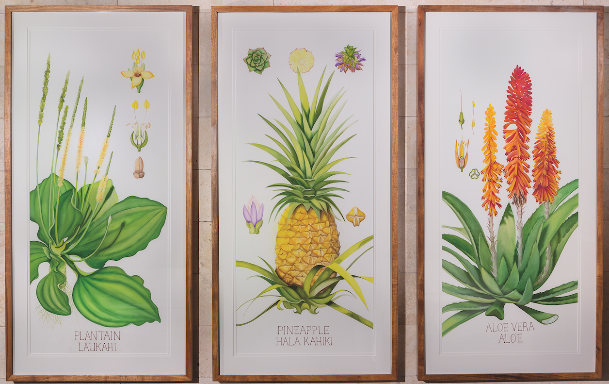 Commissioned large-scale botanical prints by Marian Berger Photo courtesy Kohanaiki
