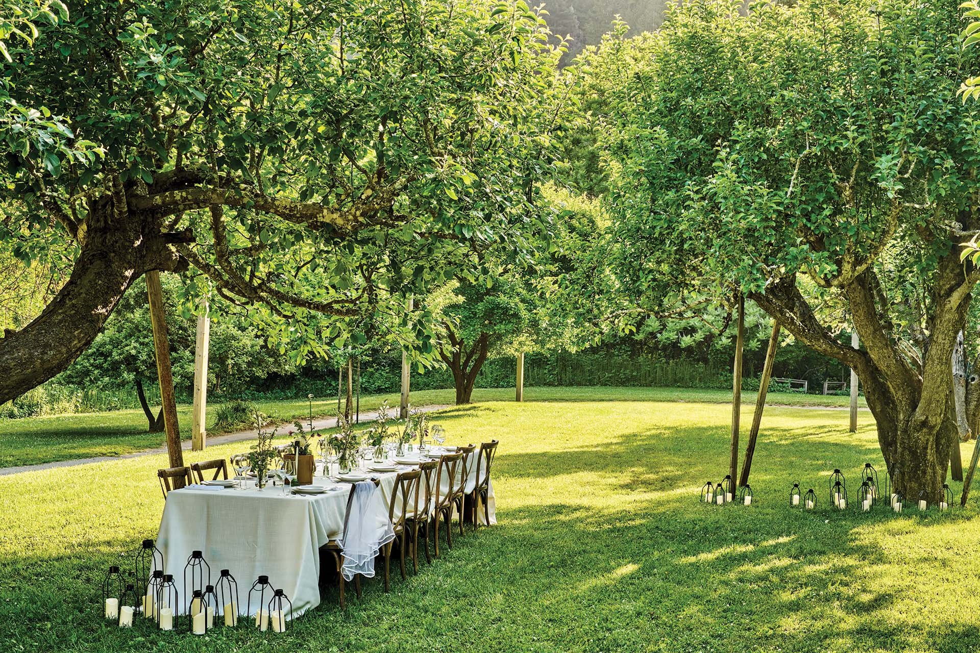  Dinner setup in the orchard.  Photo courtesy Dawn Ranch  