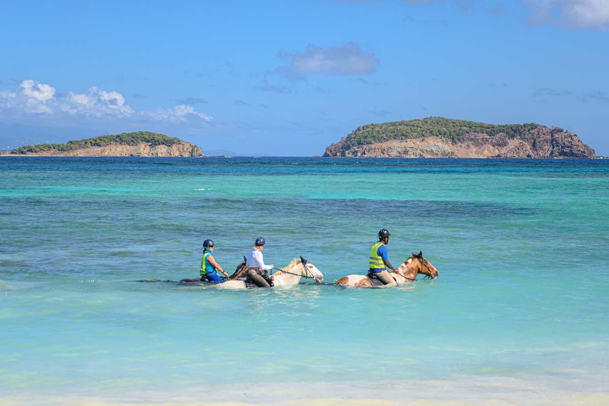  From riding to boating to dining, there's much to enjoy while visiting Mustique. Additionally, each villa is complete with a team of chefs, butlers and housekeepers who provide the very best experience while on island.&nbsp; 