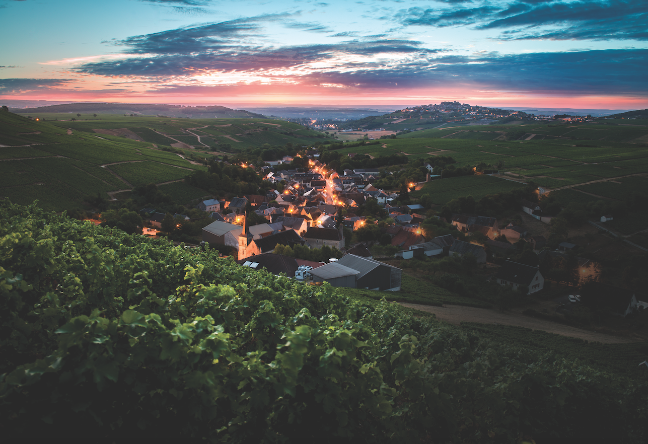   Photo © Jean-Philippe Ehrmann courtesy Domaine Henri Bourgeois  