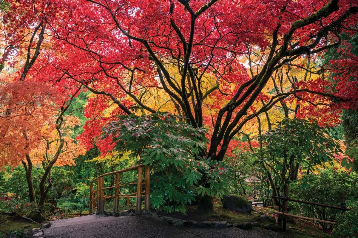 The Butchart Gardens throughout the seasons boasts a kaleidoscope of botanica. Photos courtesy venue