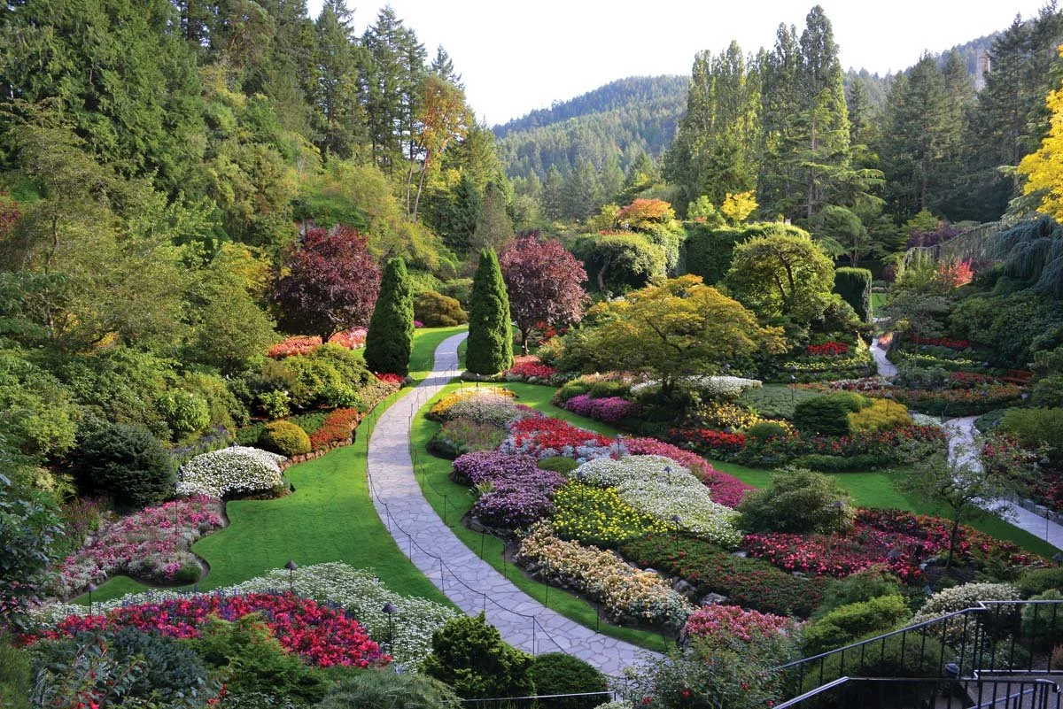  The Butchart&nbsp;Gardens throughout&nbsp;the seasons boasts&nbsp;a kaleidoscope&nbsp;of botanica.   Photos courtesy venue  