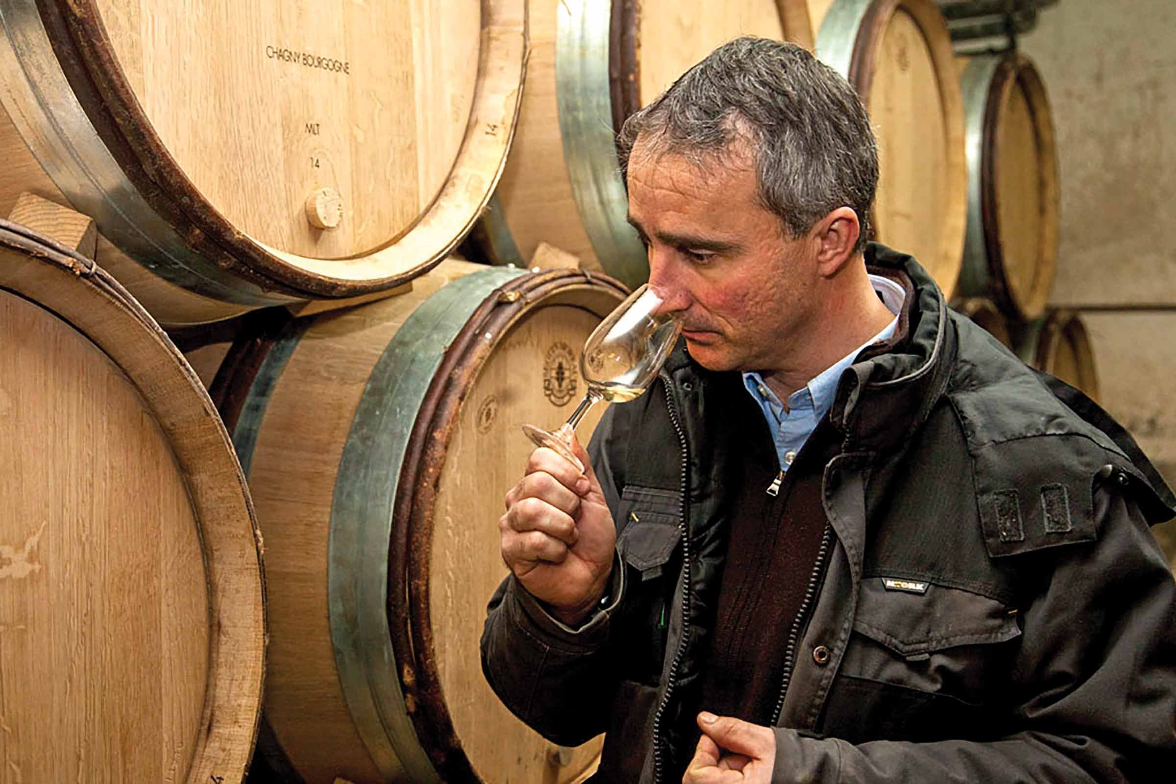 chablis-defaix3 - P Roy.jpg