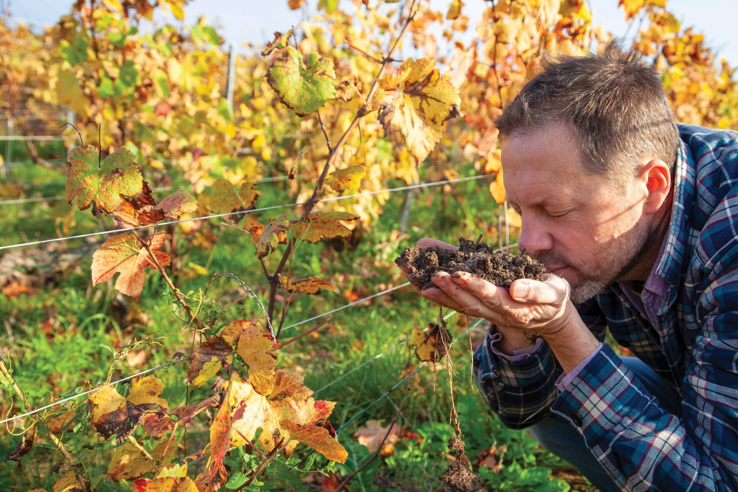 Wine_Champagne MARGUET_Nick Kuchar by Jonathan Simonji_3-benoit.jpg