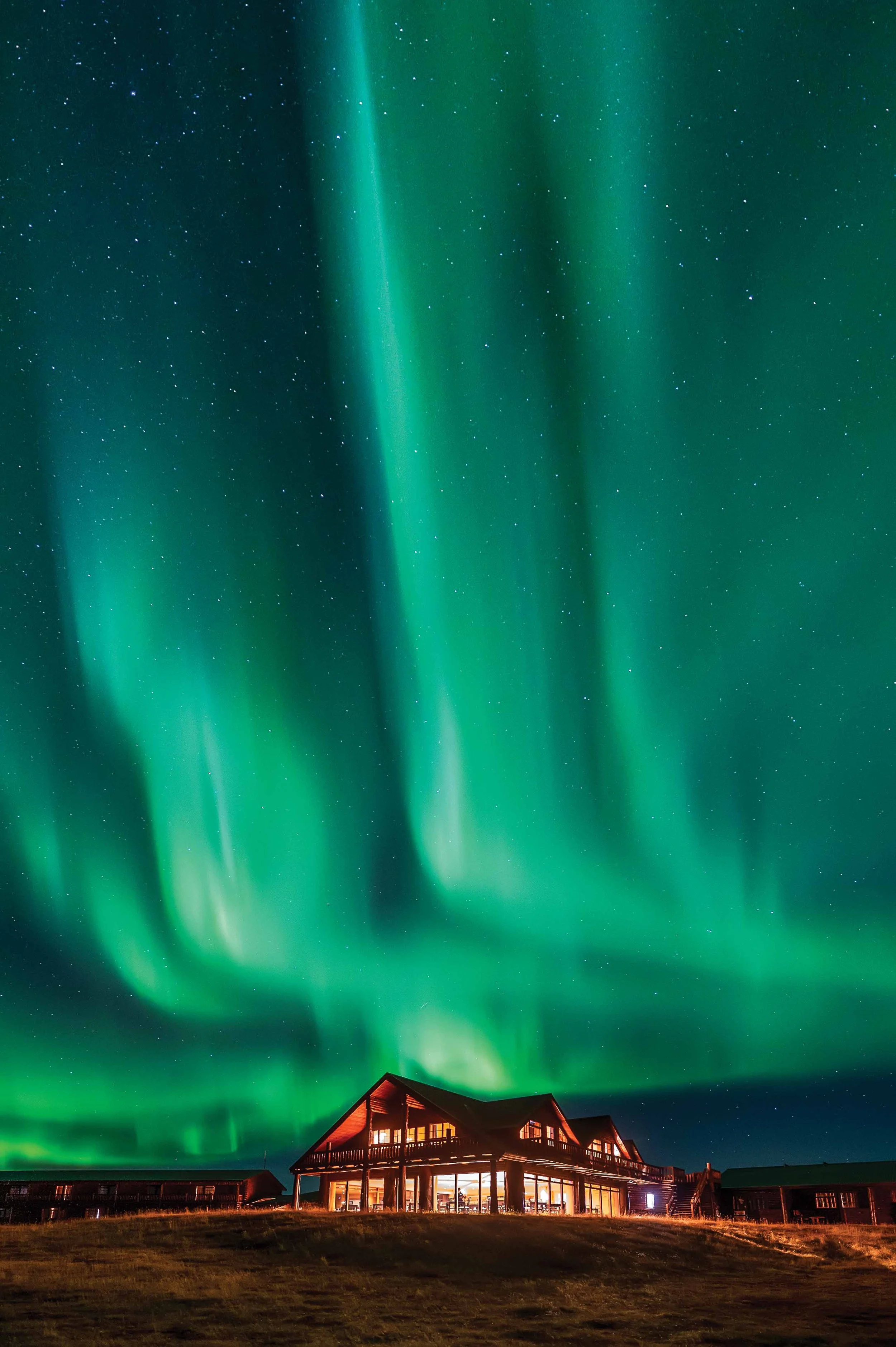 Under the Night Sky
