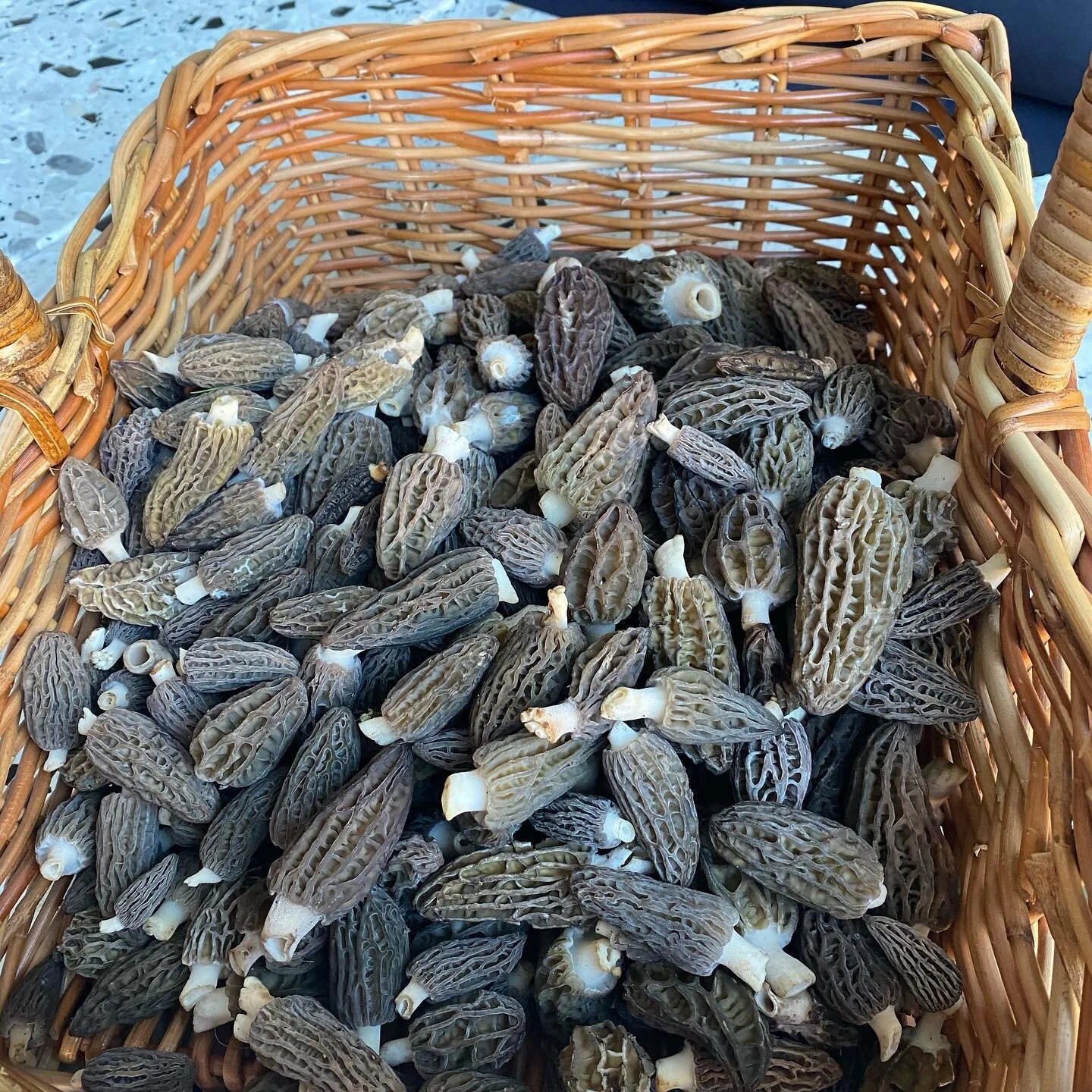 Great first day out of lockdown!
Thanks Kimberley Carly and Simon.
#carlyrlauder  #kimberley_plant_love