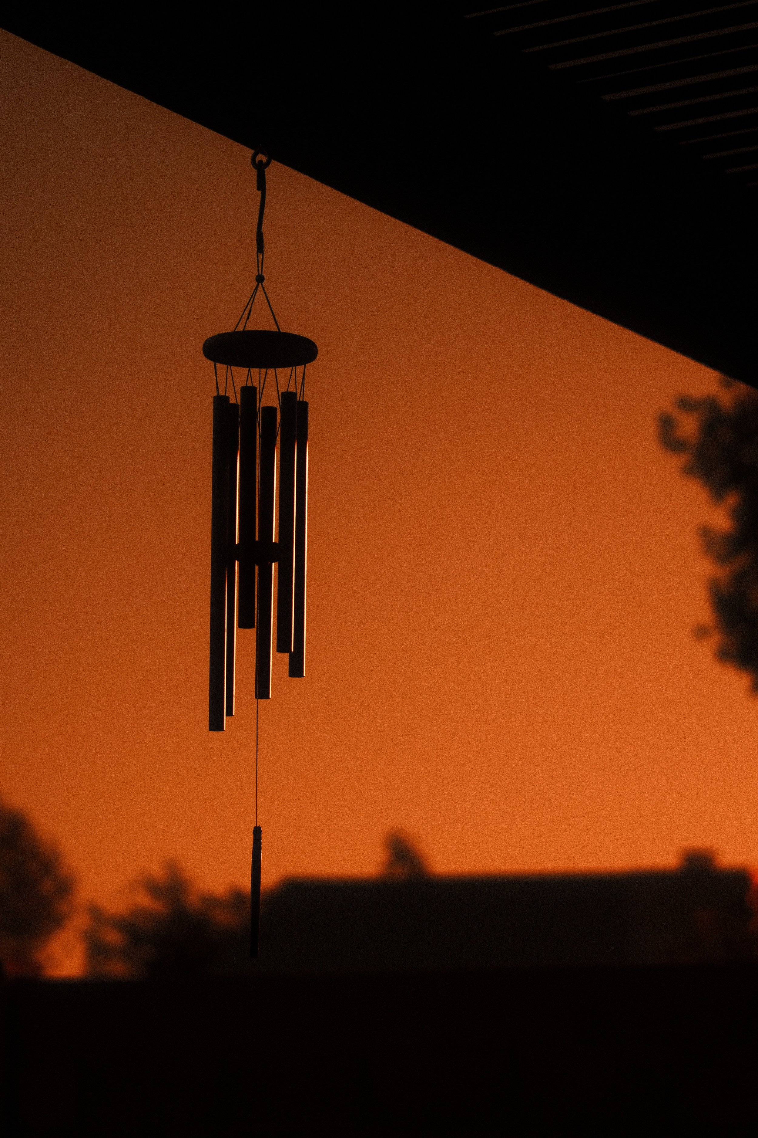 DSCF2049.jpg
