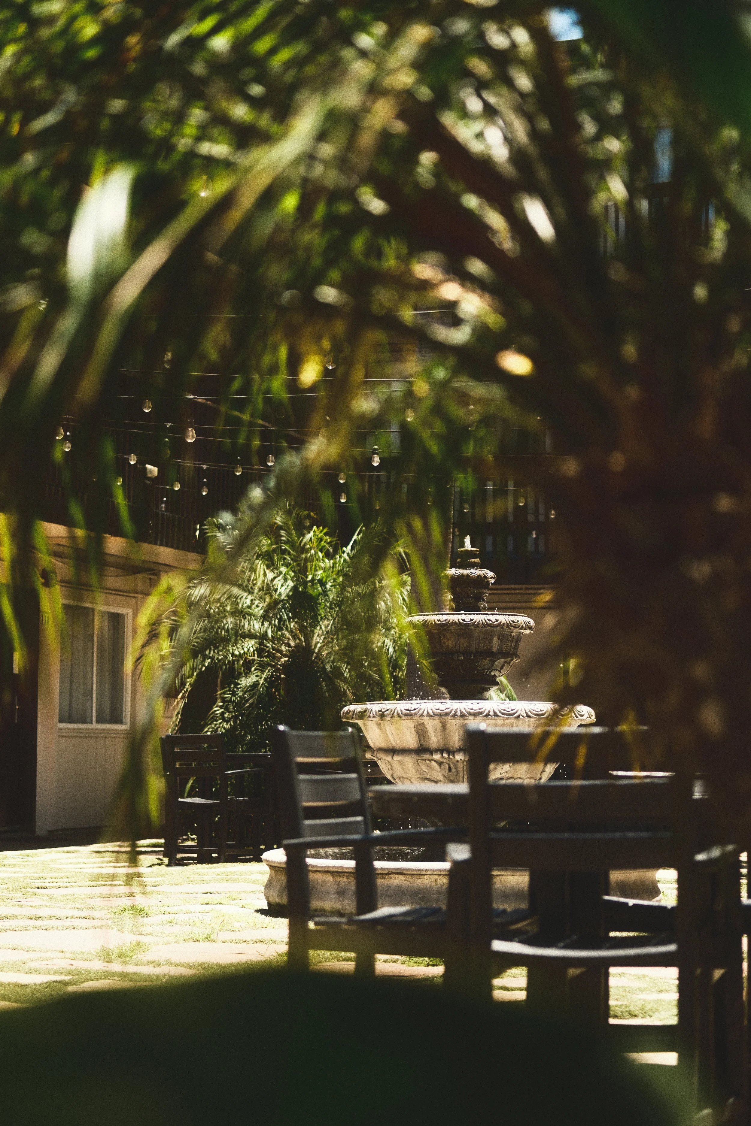 DSCF2479.jpg