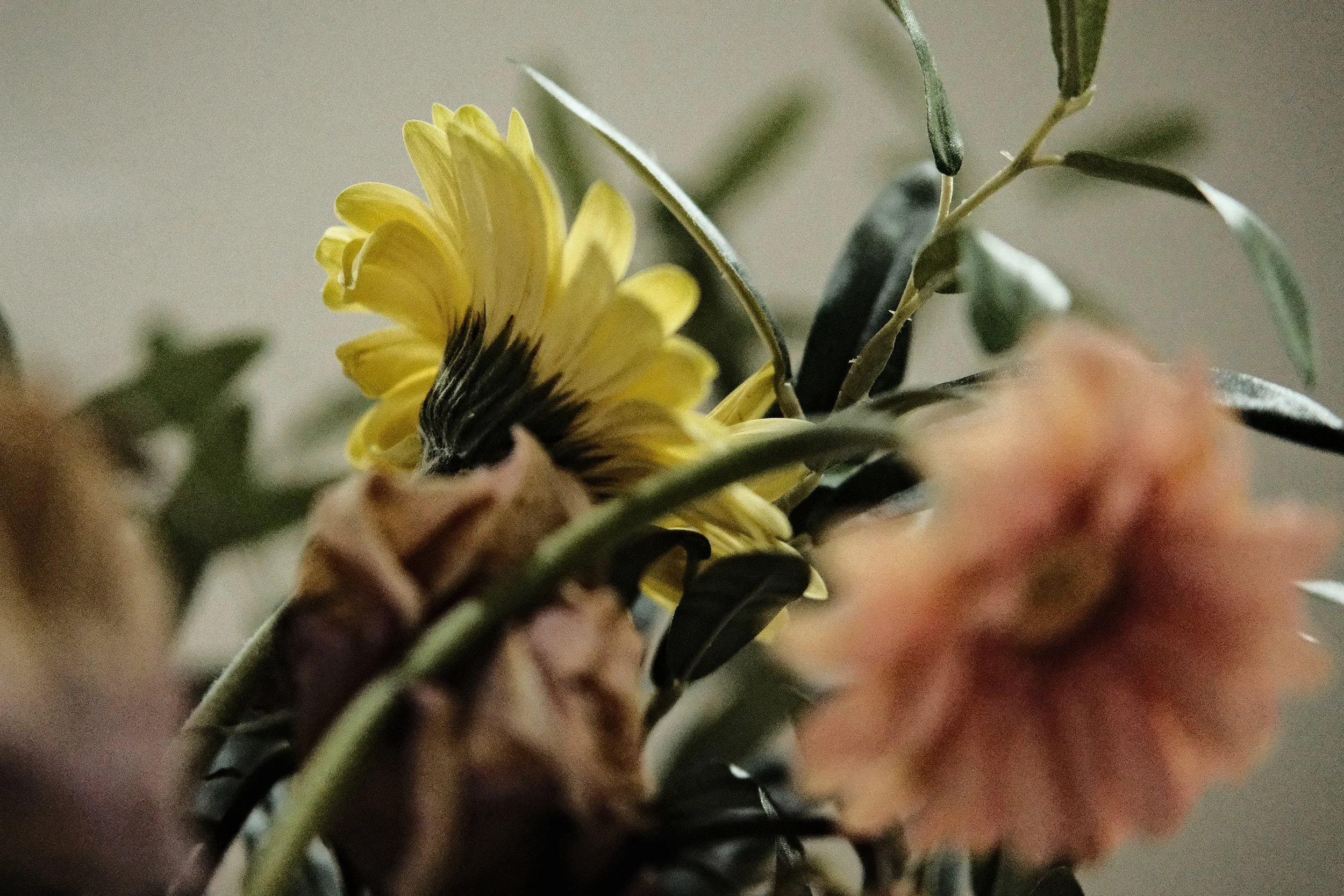 DSCF3215.jpg