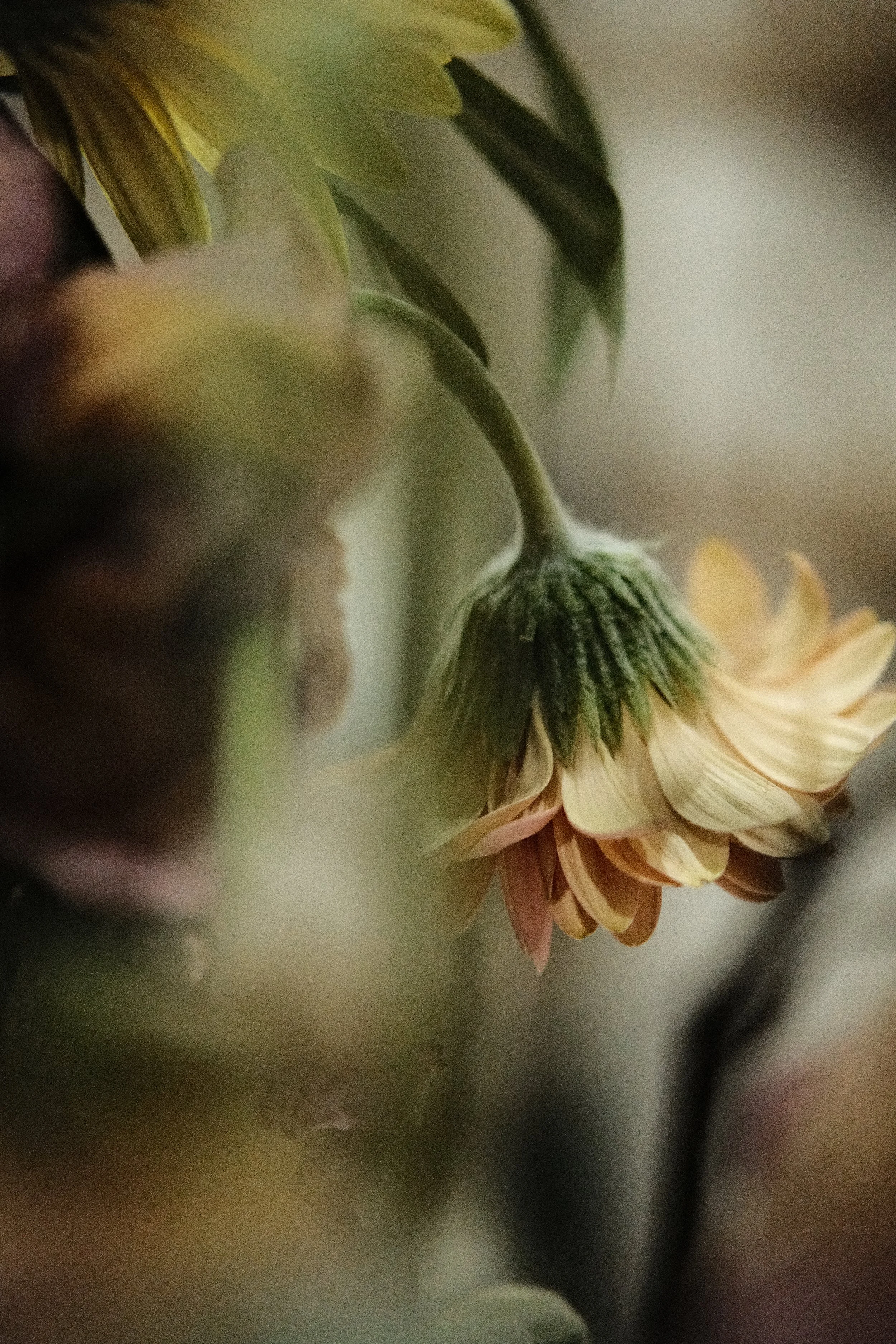 DSCF3211.jpg