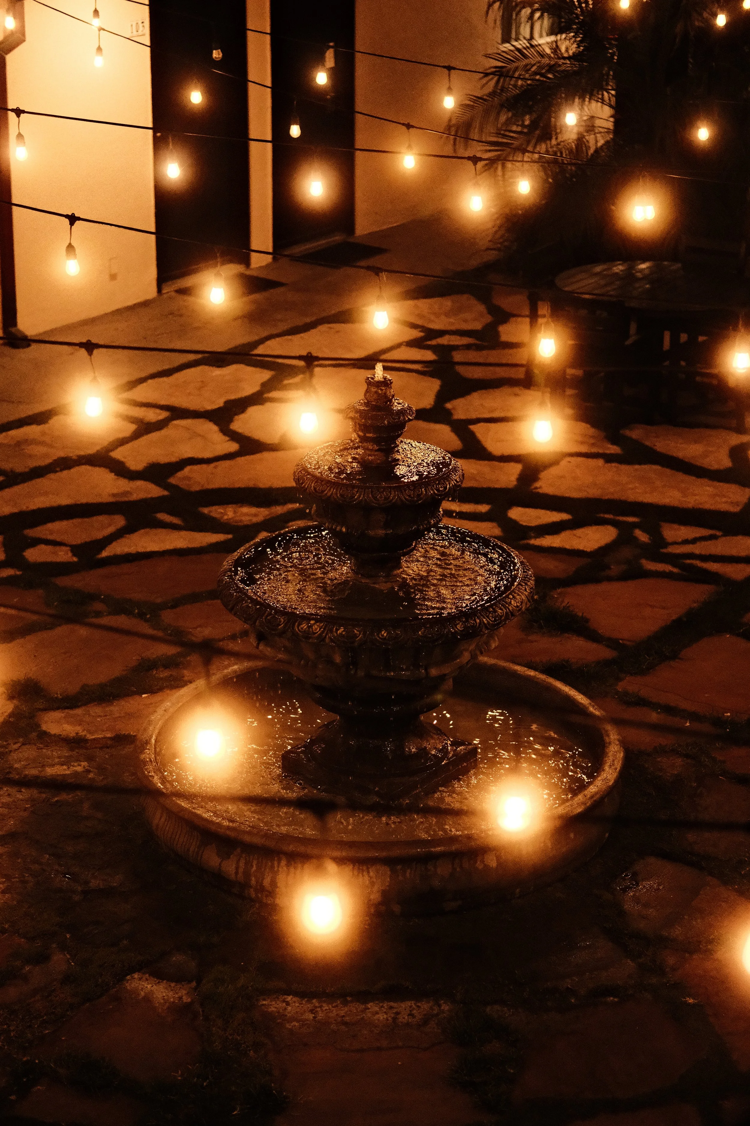 DSCF2617.jpg