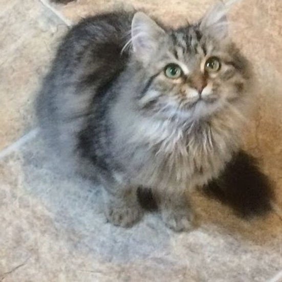 lucy.jpeg