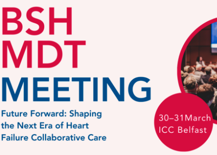 MDT Meeting 2026 poster contributions