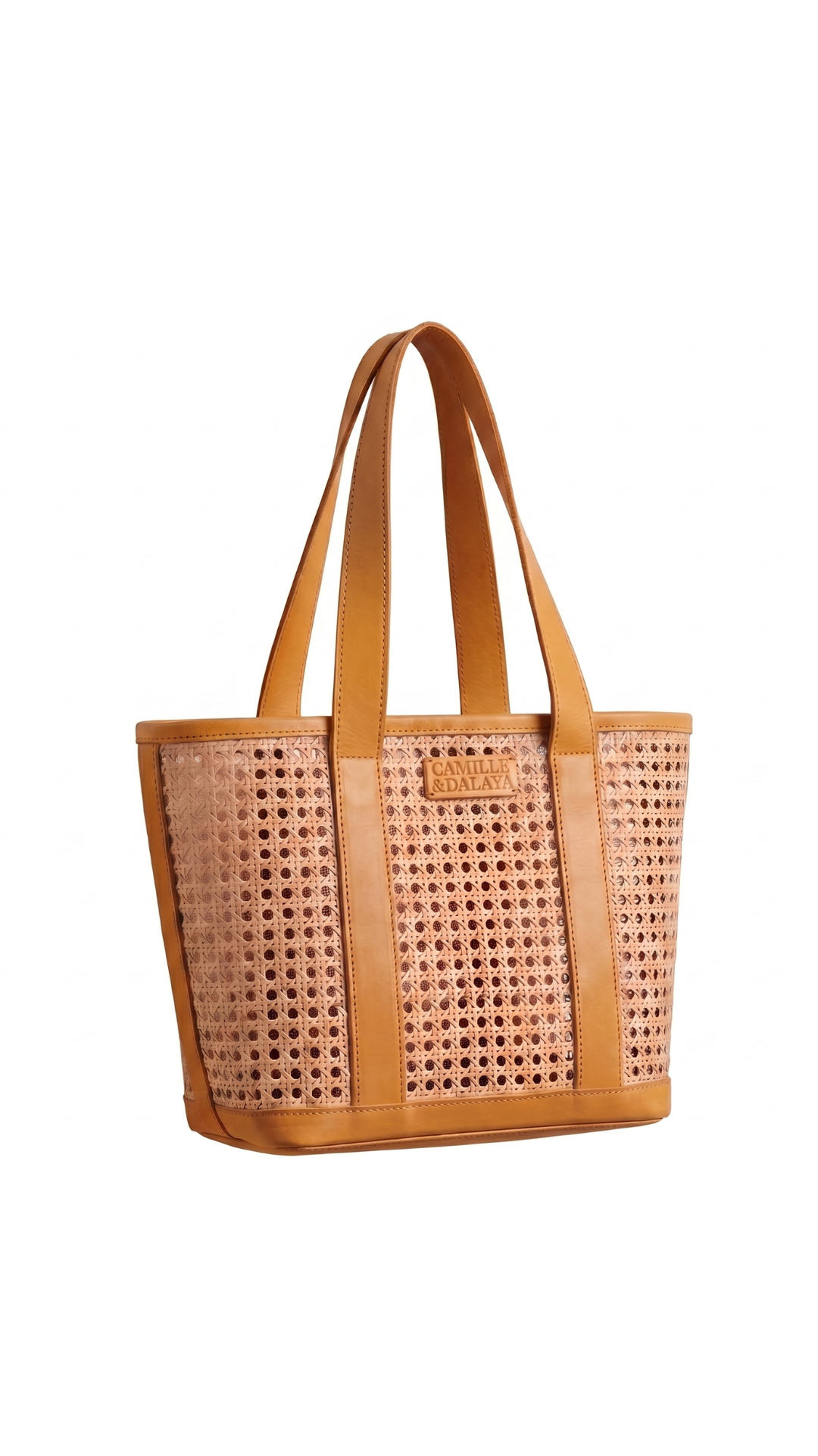 Leather Cane Bag (Brown)