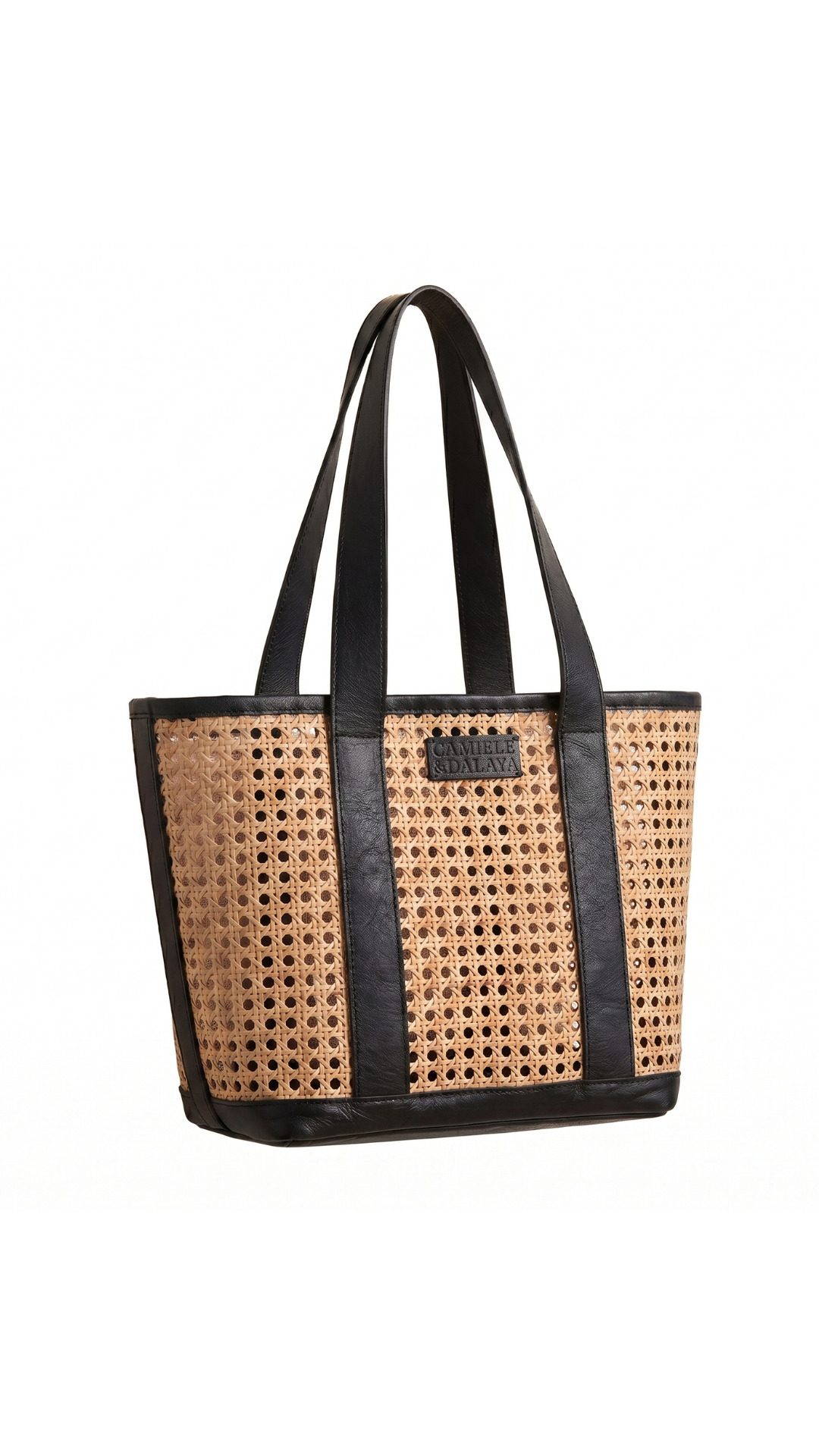 Leather Cane Bag (Black)