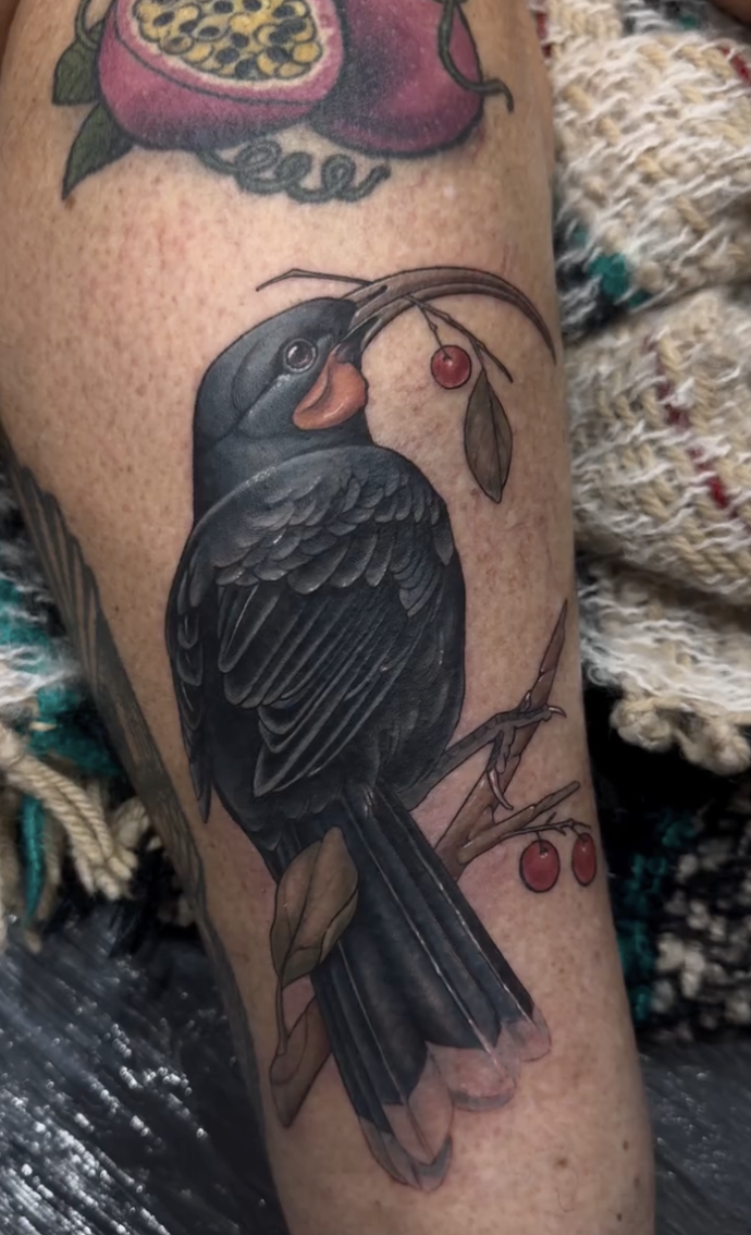 Screenshot 2024-03-04 at 4.08.53 PM.png