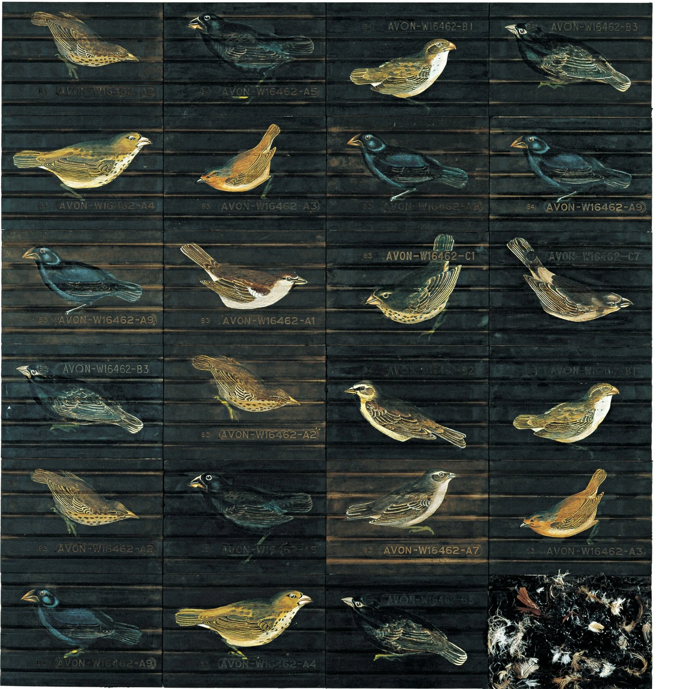 Mark Wallinger, Natural Selection, 1988. HR.jpg