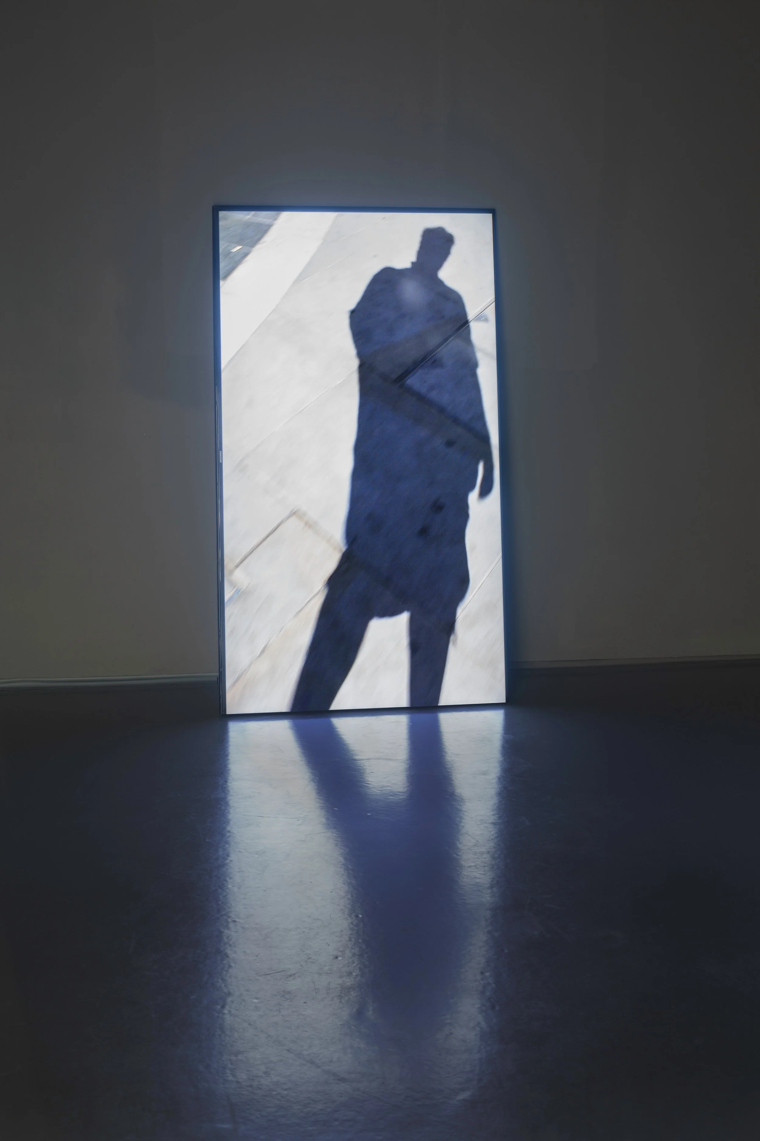 Mark Wallinger, Dundee Contemporary Arts, 2017.jpg