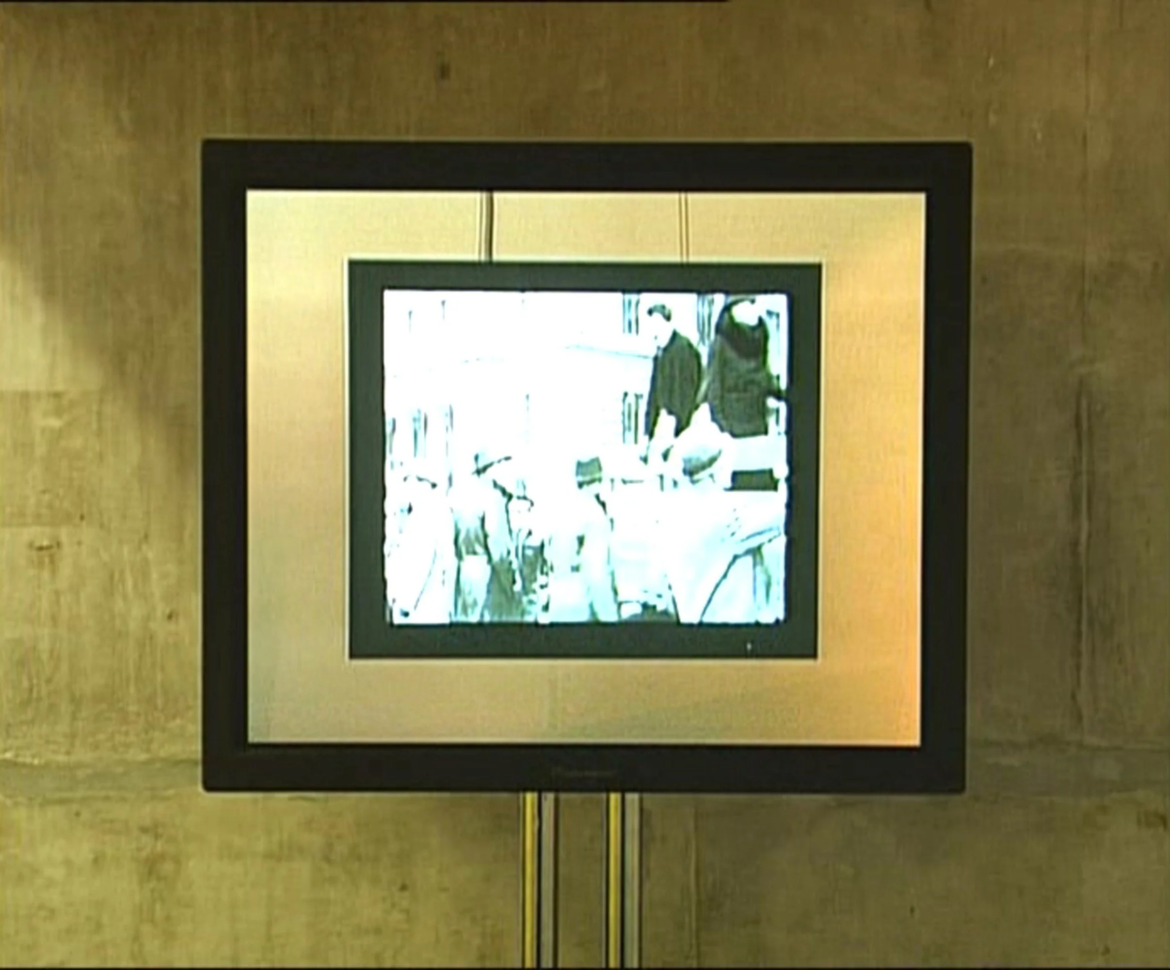 Mark Wallinger, Third Generation (Shanghai), 2003. Detail 6.jpg