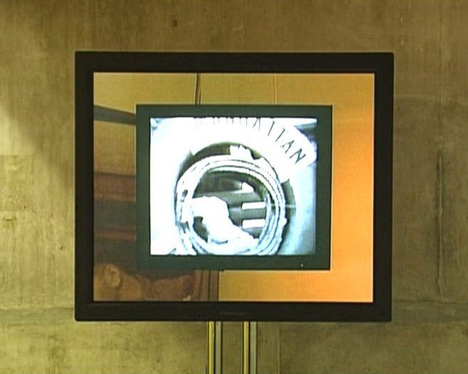 Mark Wallinger, Third Generation (Manhattan), 2003. Detail 8.jpg