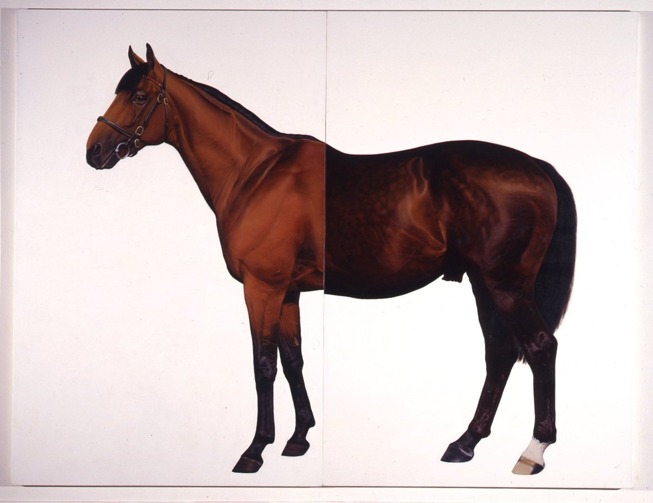 Mark Wallinger, Half-Brothers, (Jupiter Island and Precocious), 1994-95.jpg