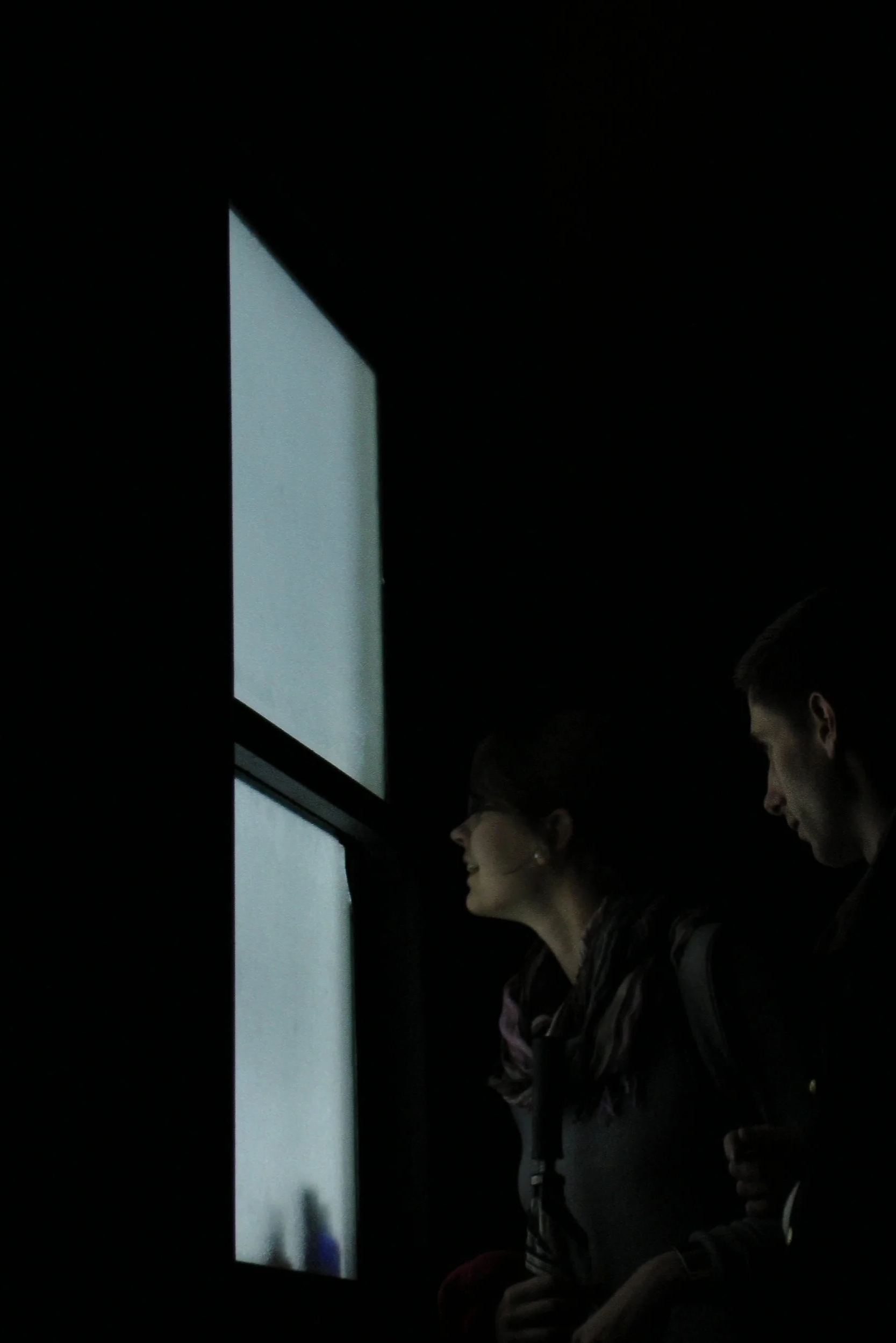 Mark Wallinger, Metamorphosis: Titian, Diana, 2012.png