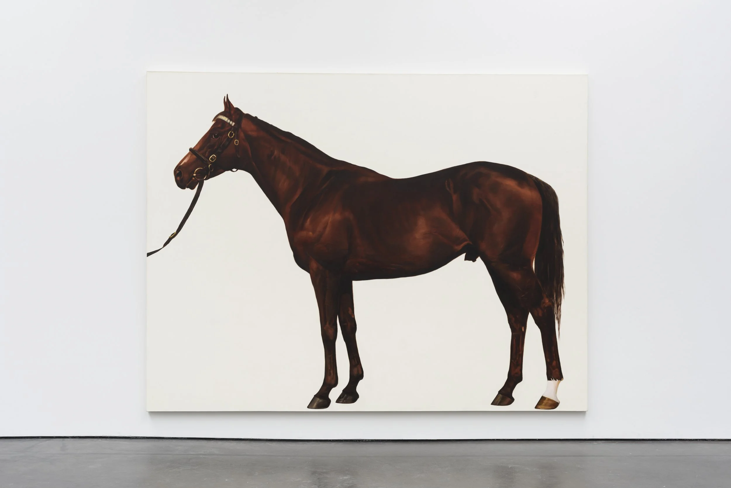  An art gallery exhibits one of four paintings from Race, Class, Sex (1993) by Mark Wallinger, showcasing four male descendants of an Arab stallion imported to England in the 18th century.