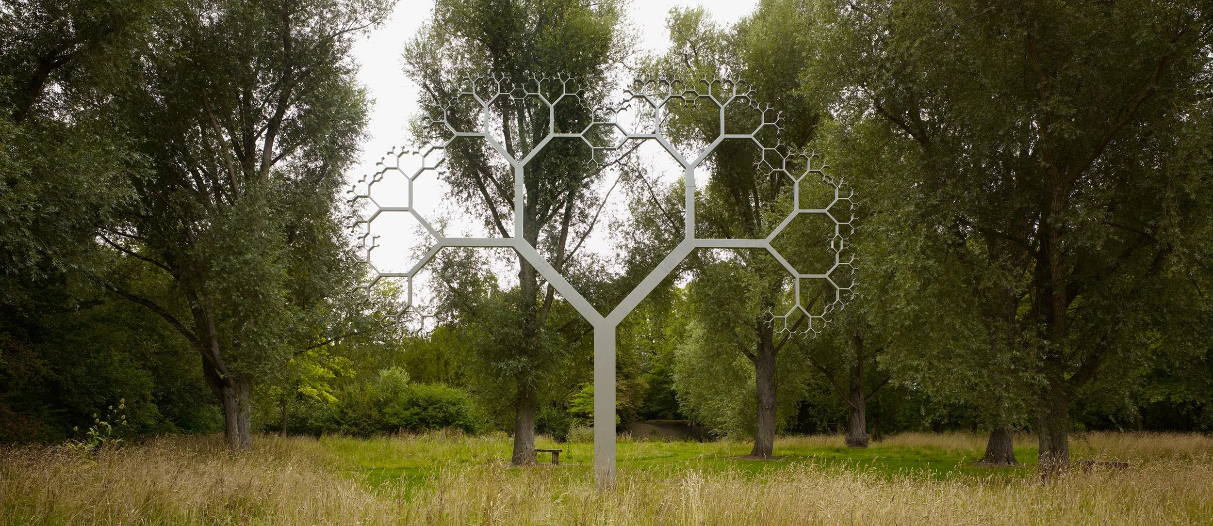 Mark Wallinger, Y, 2008.jpg