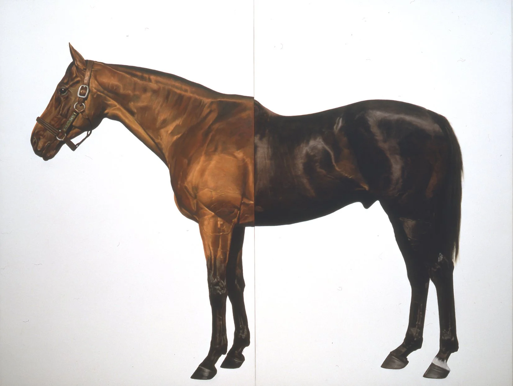 Mark Wallinger, Half-Brother (Exit to Nowhere - Machiavellian), 1994-95, oil on canvas, 230 x 300 cmHR - transp.jpg