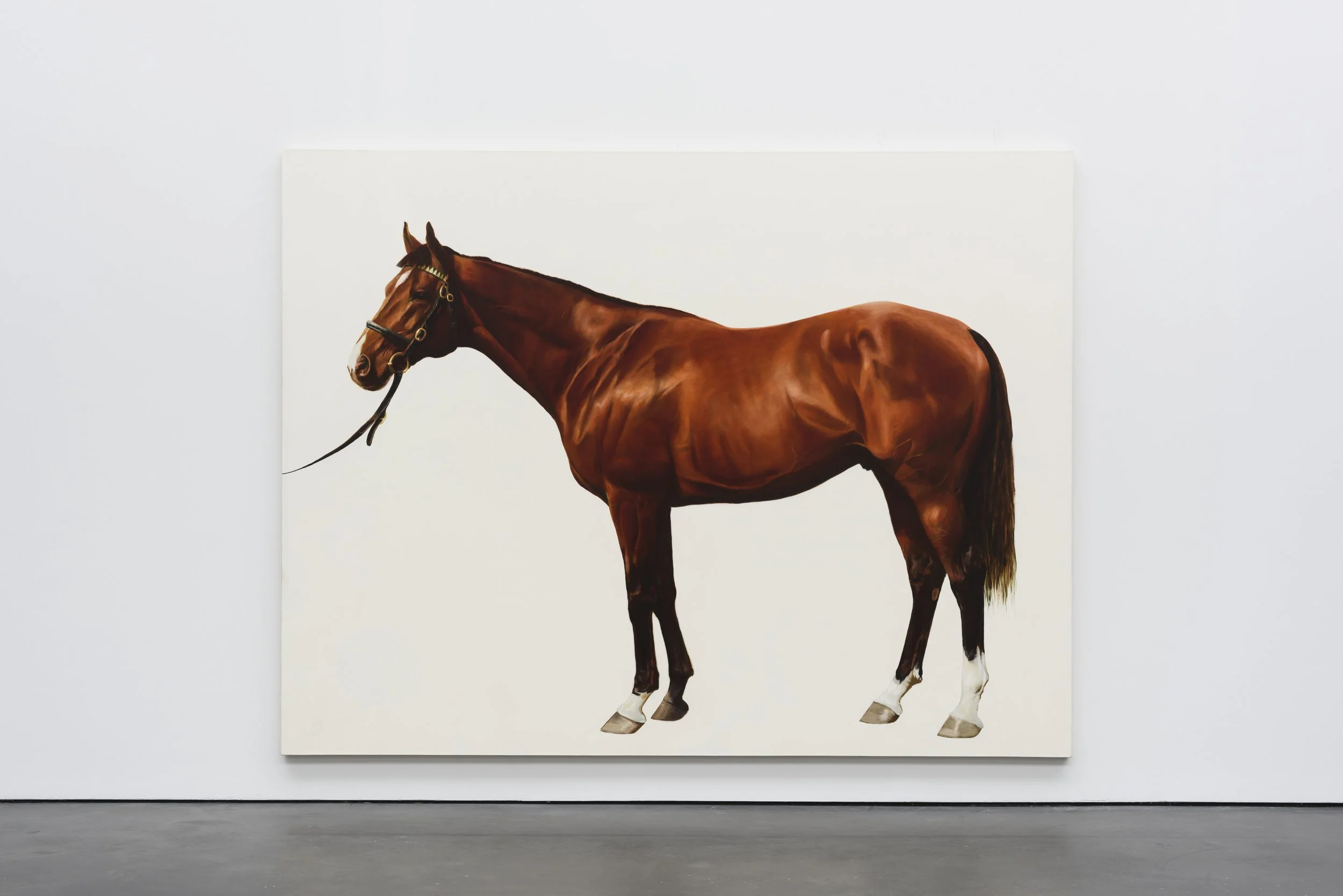  An art gallery exhibits one of four paintings from Race, Class, Sex (1993) by Mark Wallinger, showcasing four male descendants of an Arab stallion imported to England in the 18th century.