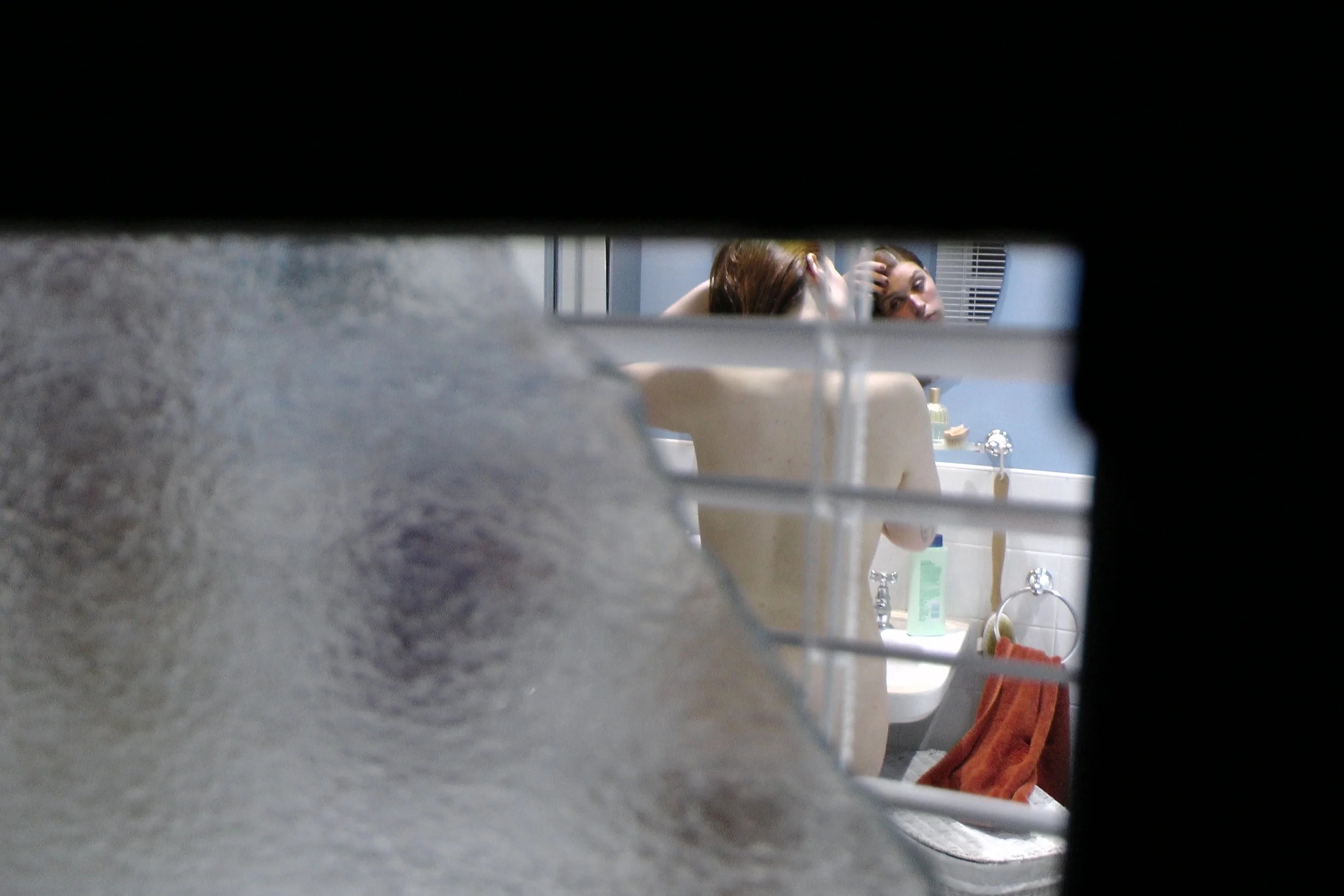 Mark Wallinger, Metamorphosis: Titian, Diana, 2012 S1040035.JPG