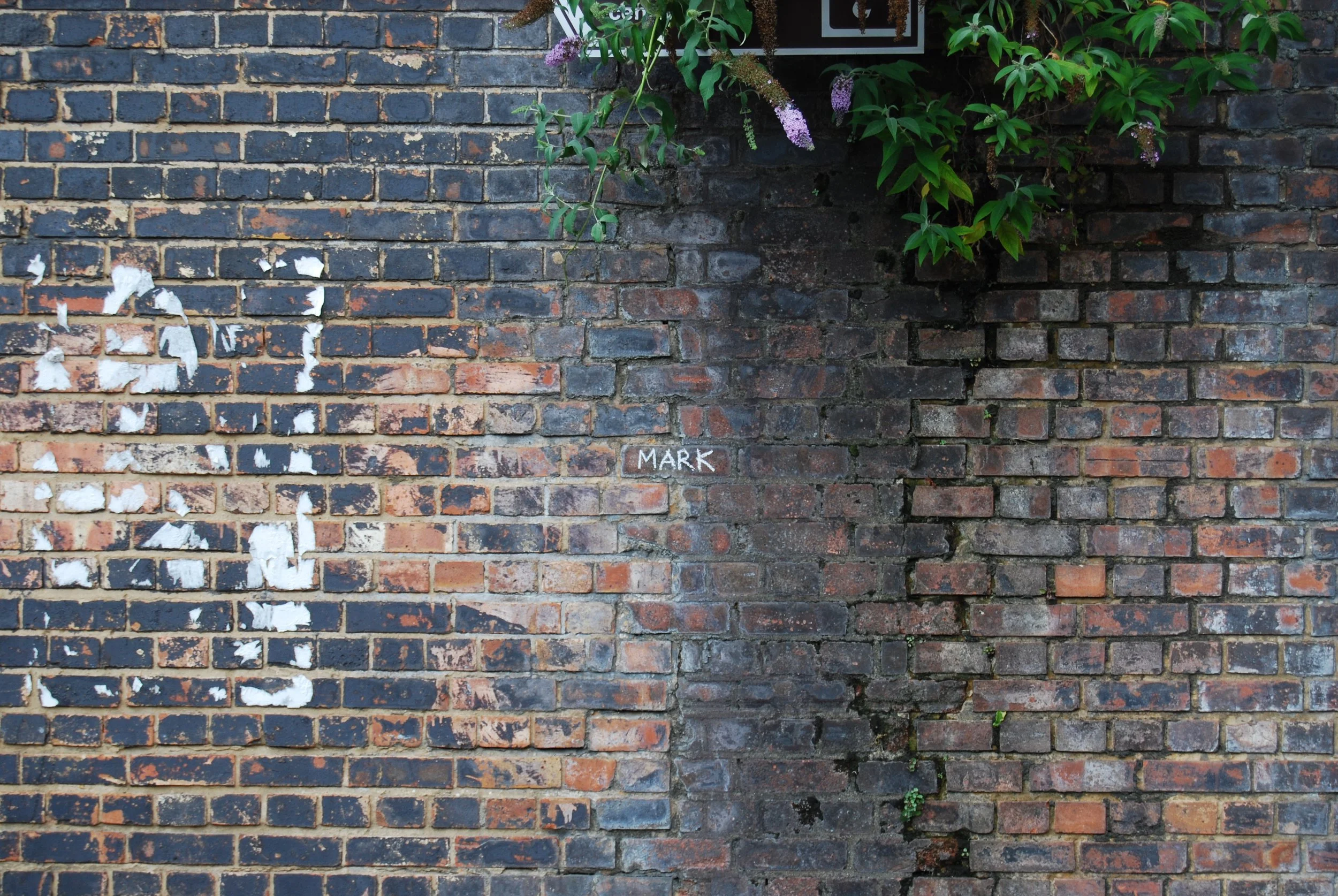 Photo of a brick wall with peeling white paint and a small painted sign with the word 'MARK'. There are green plants hanging over part of the wall.