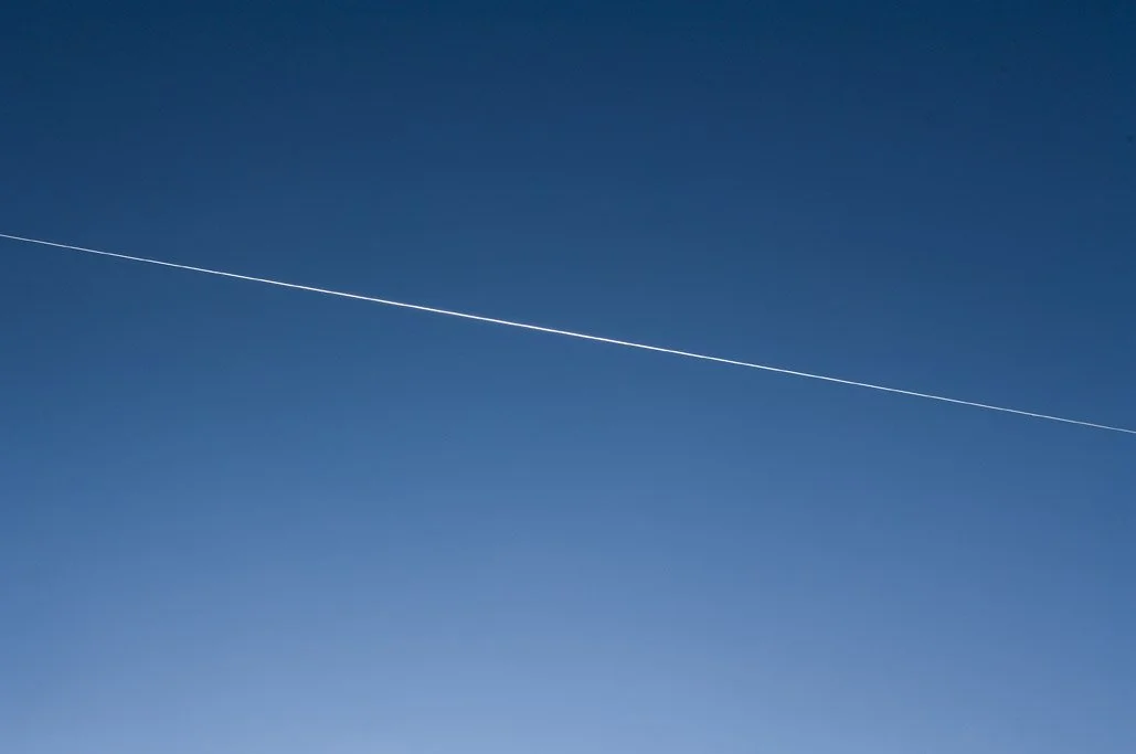 Mark Wallinger, Zone (detail 8), 2007.jpg
