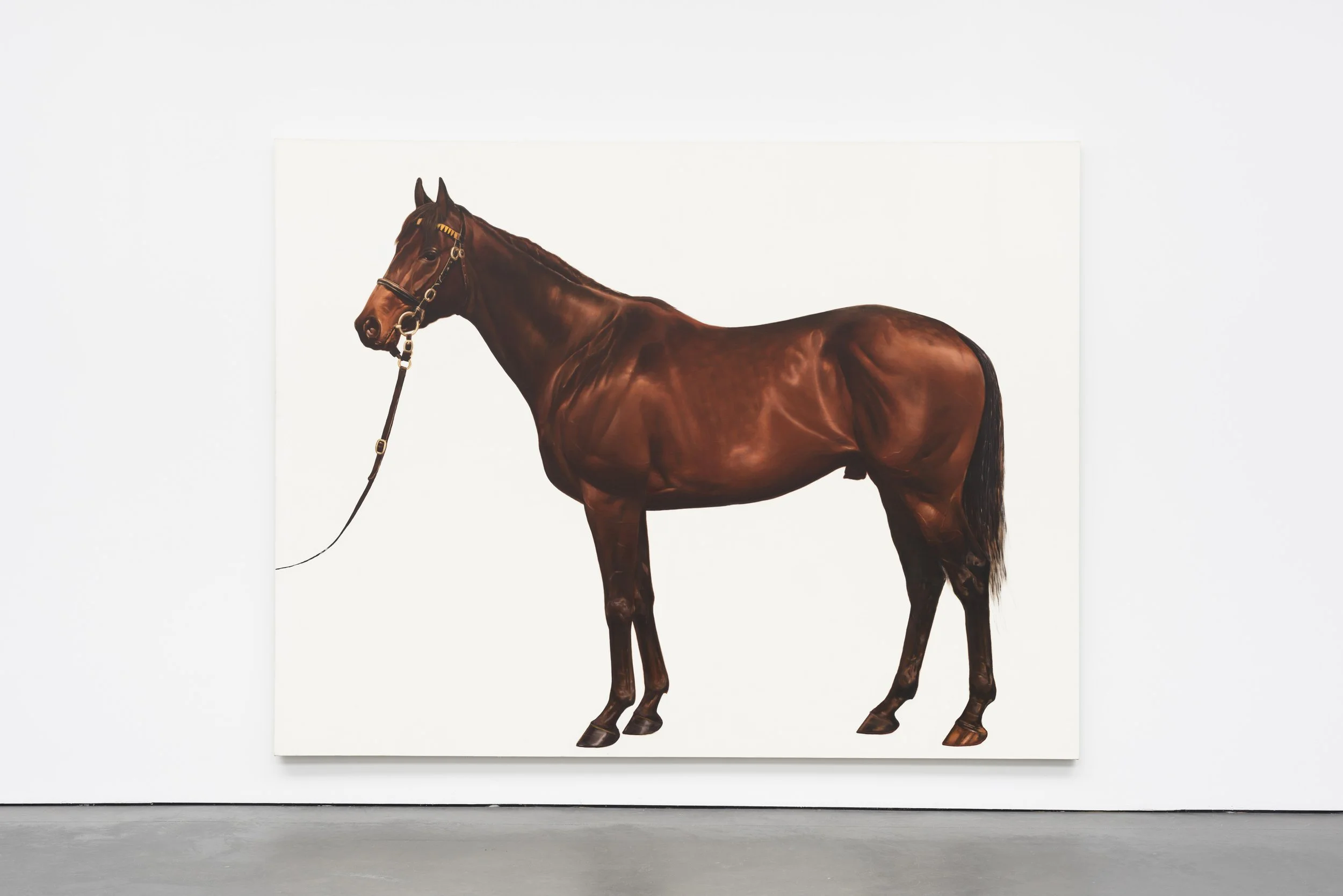  An art gallery exhibits one of four paintings from Race, Class, Sex (1993) by Mark Wallinger, showcasing four male descendants of an Arab stallion imported to England in the 18th century.