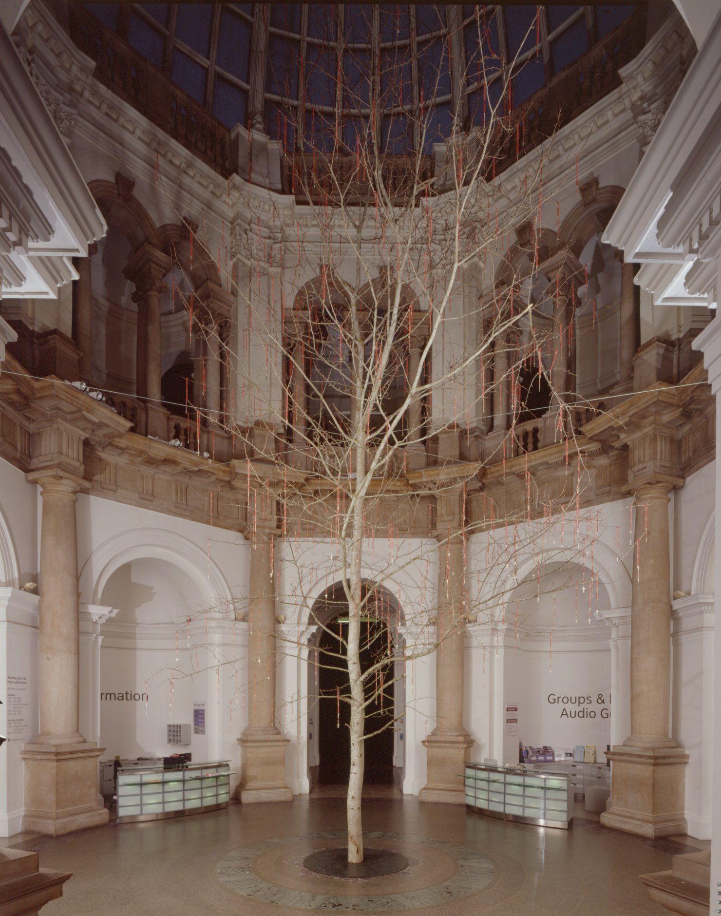 Mark Wallinger, Tate Britain Christmas Tree, Populus Tremula, 2003. 1.jpg