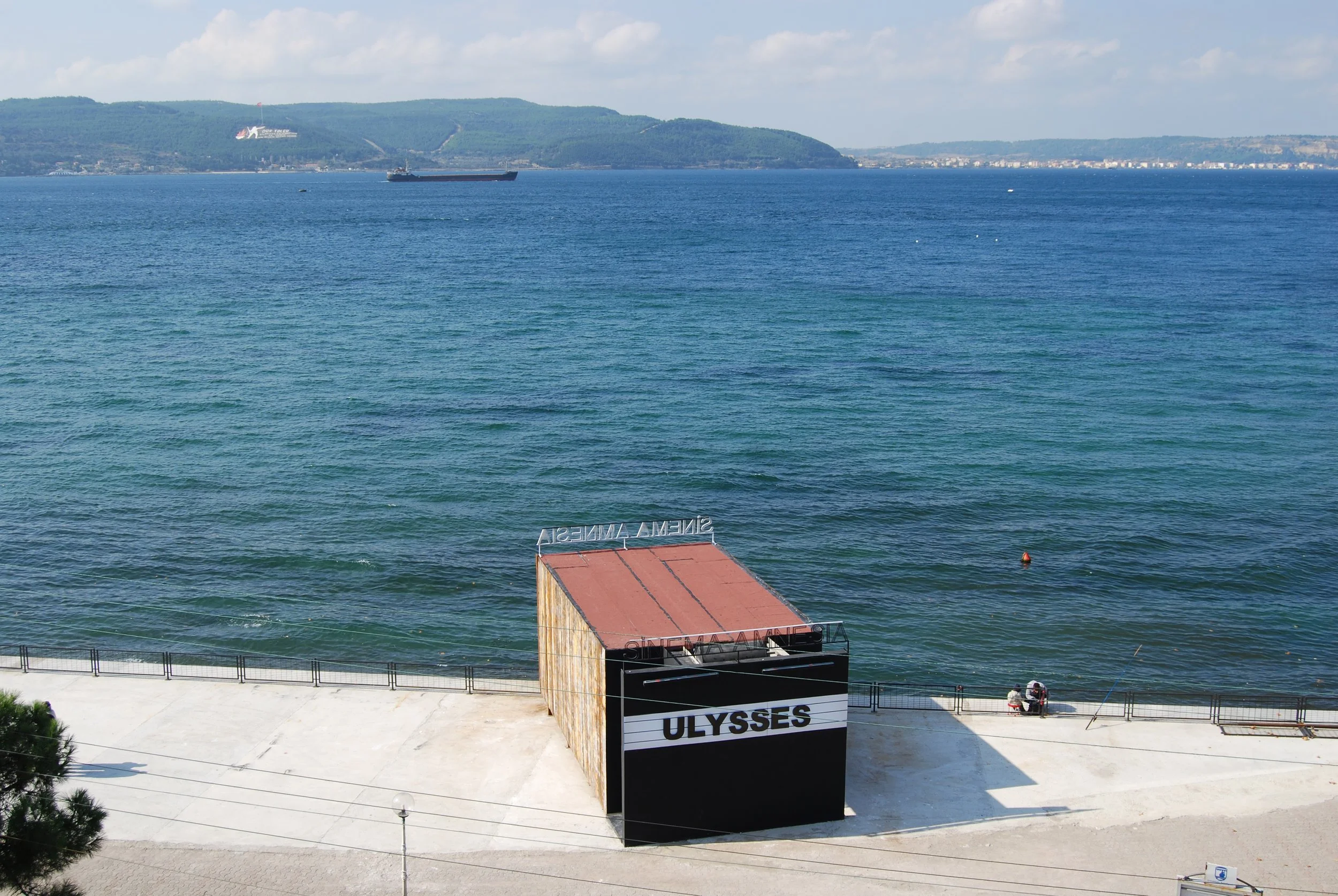 Mark Wallinger, Sinema Amnesia, 2010.1.JPG