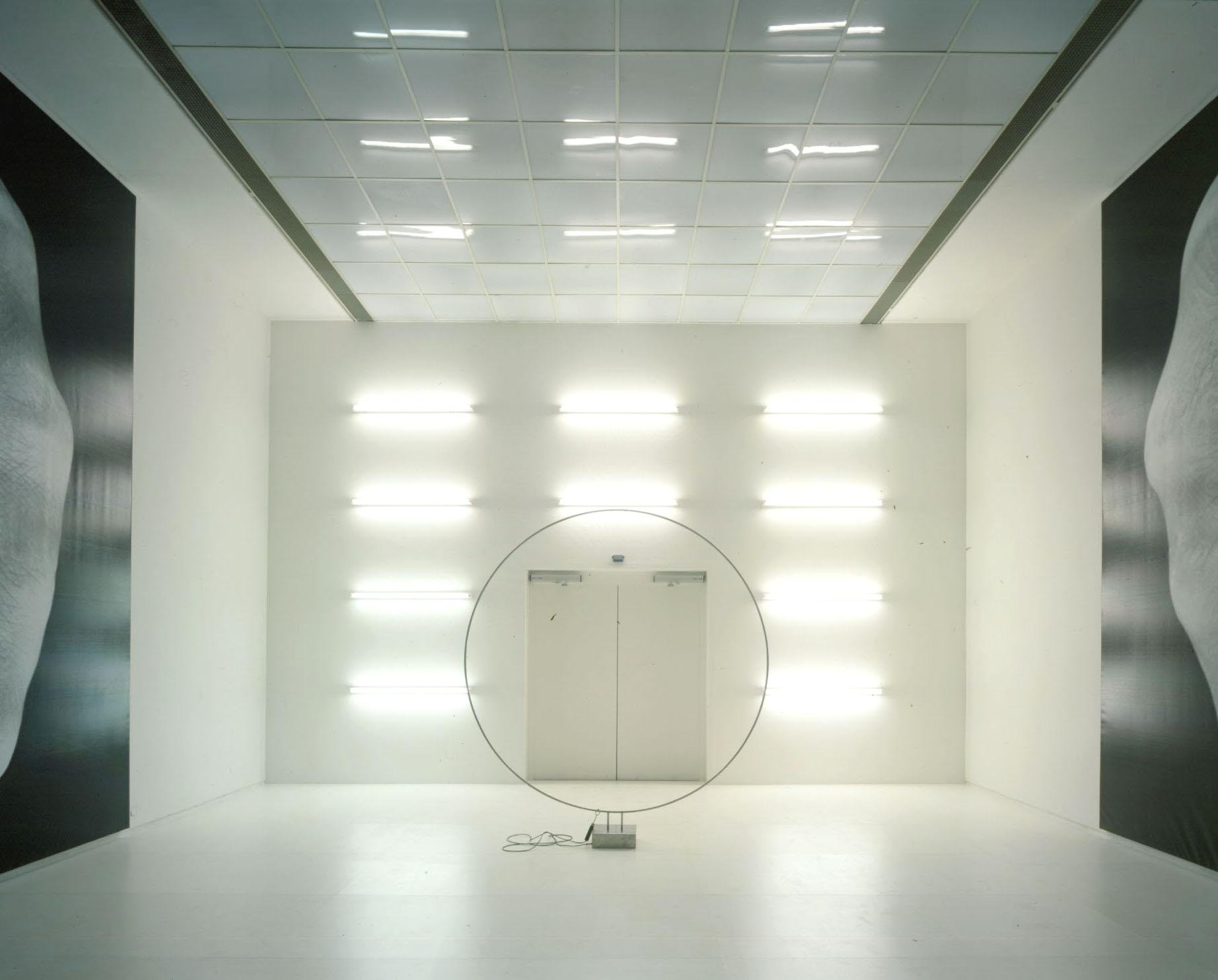 Mark Wallinger, Prometheus, 1999. Detail 1.jpg